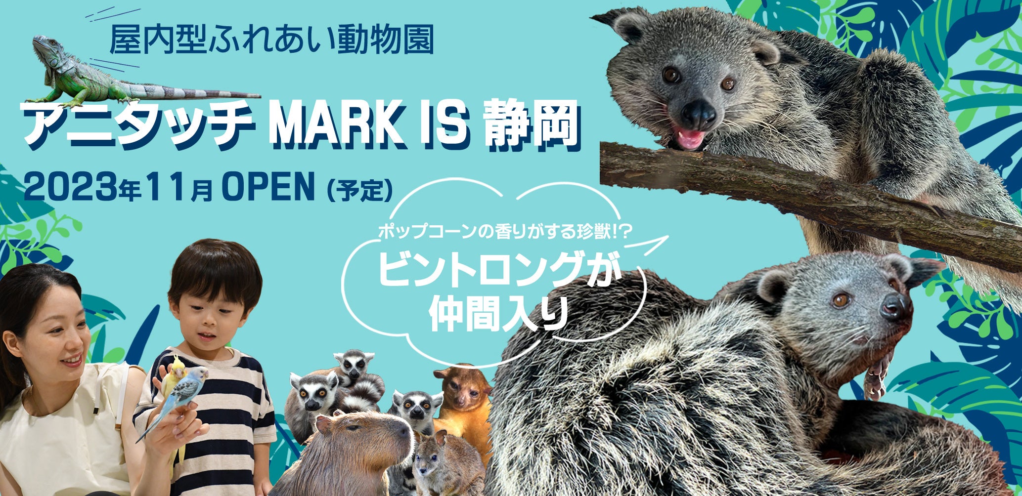 珍獣動物園（仮） 珍獣！「ビントロング」が仲間入り 屋内型ふれあい動物園