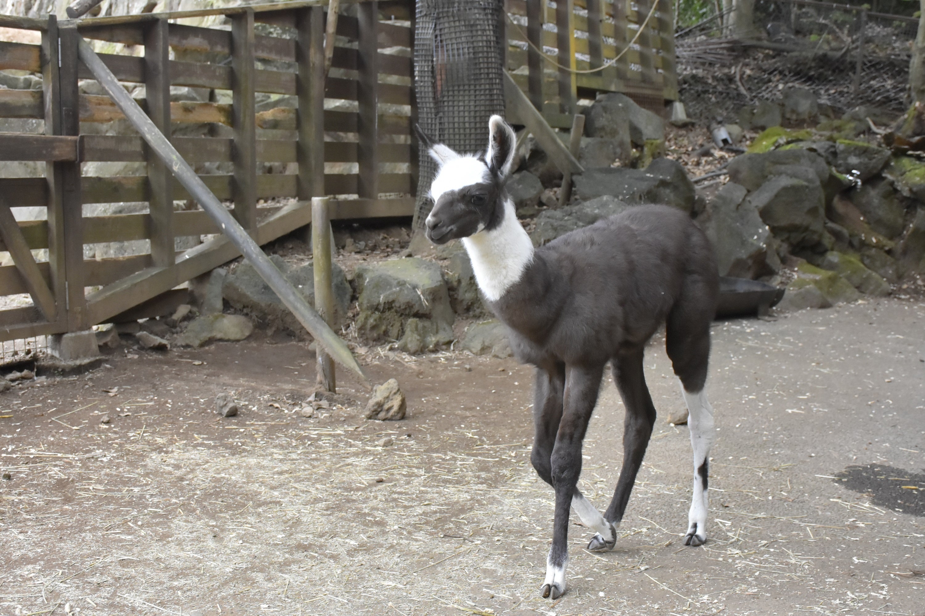 赤ちゃんは元気いっぱい