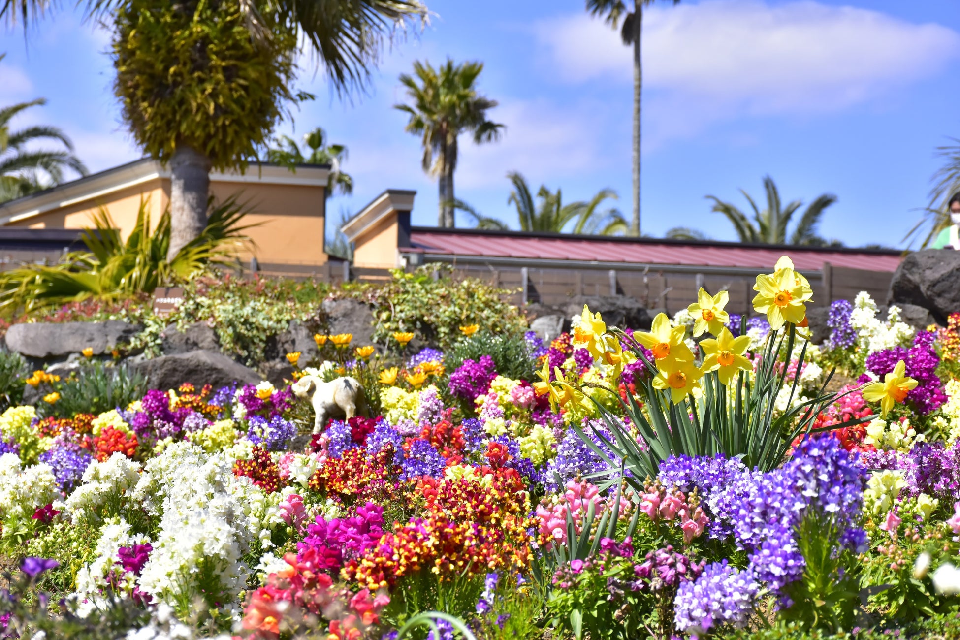 フラワーガーデン