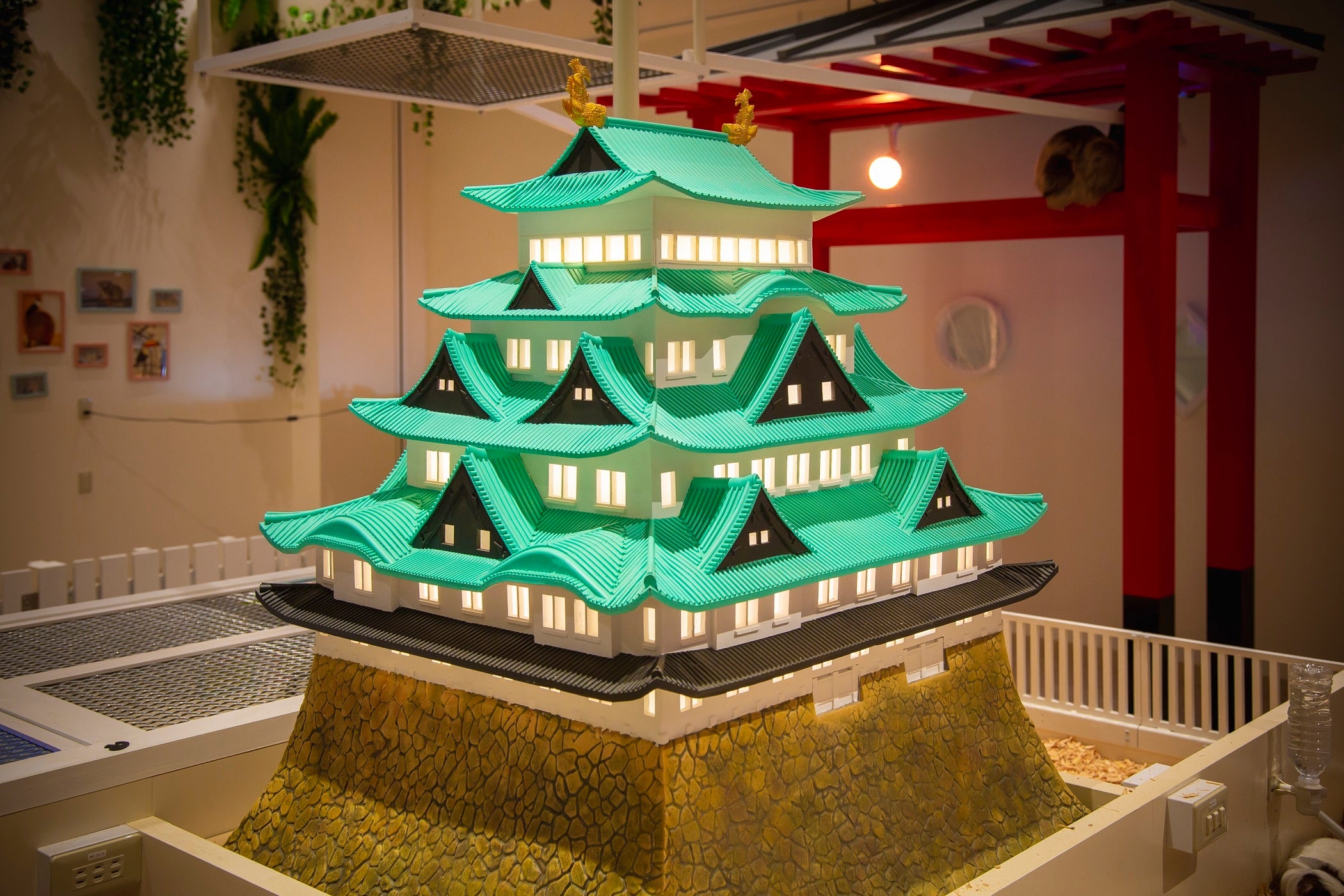 アニタッチららぽーと名古屋みなとアクルス