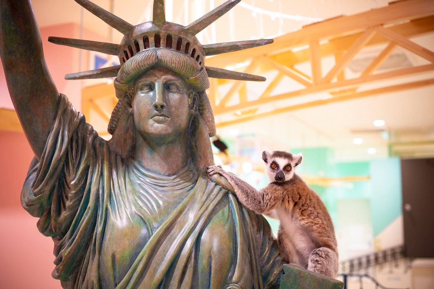 アニタッチアクアシティお台場