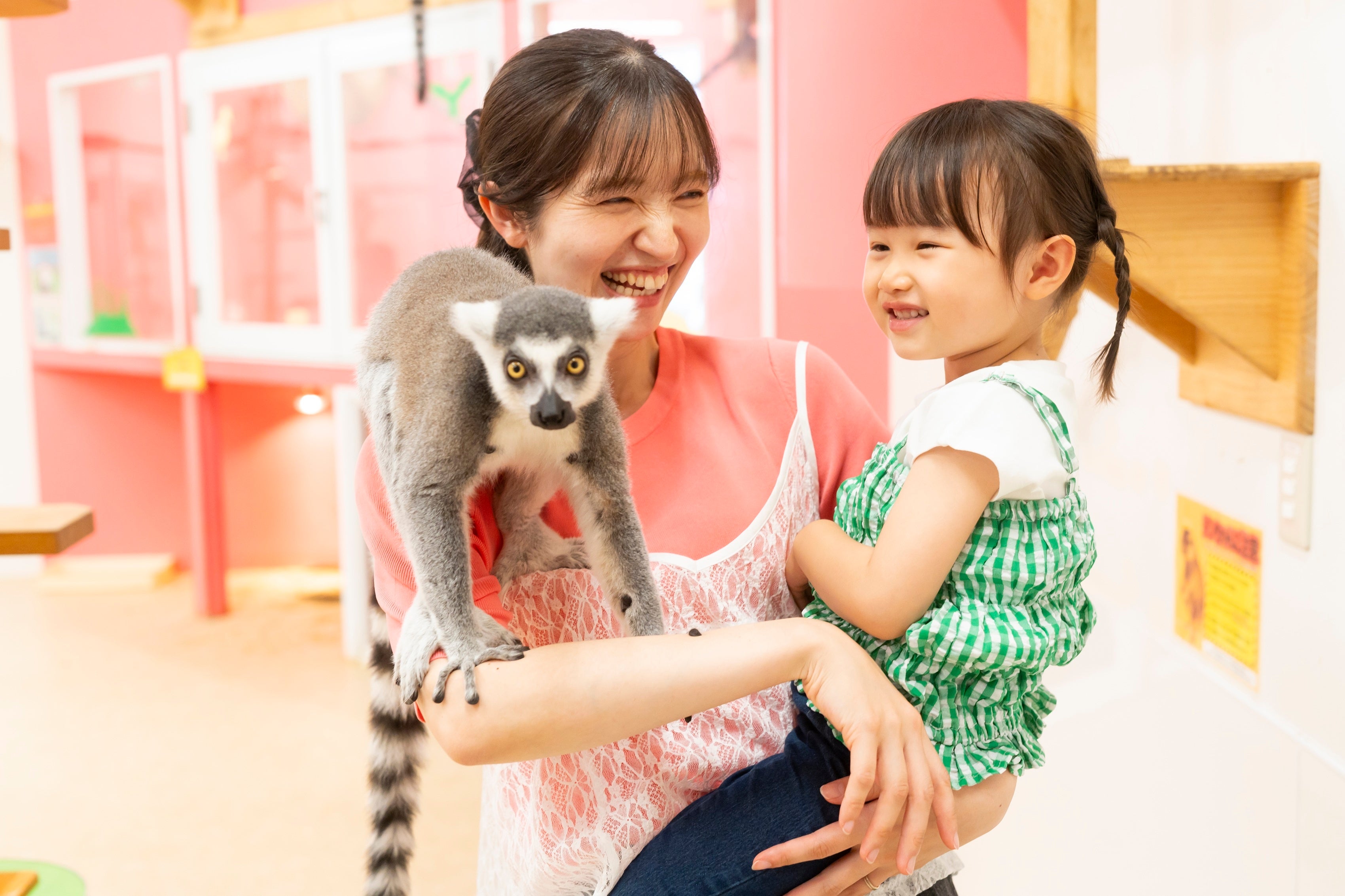 ☆☆☆伊豆シャボテンリゾート株式会社50周年記念事業☆☆☆屋内型ふれあい動物園「アニタッチ 吉祥寺」2026年10月19日(月)OPEN