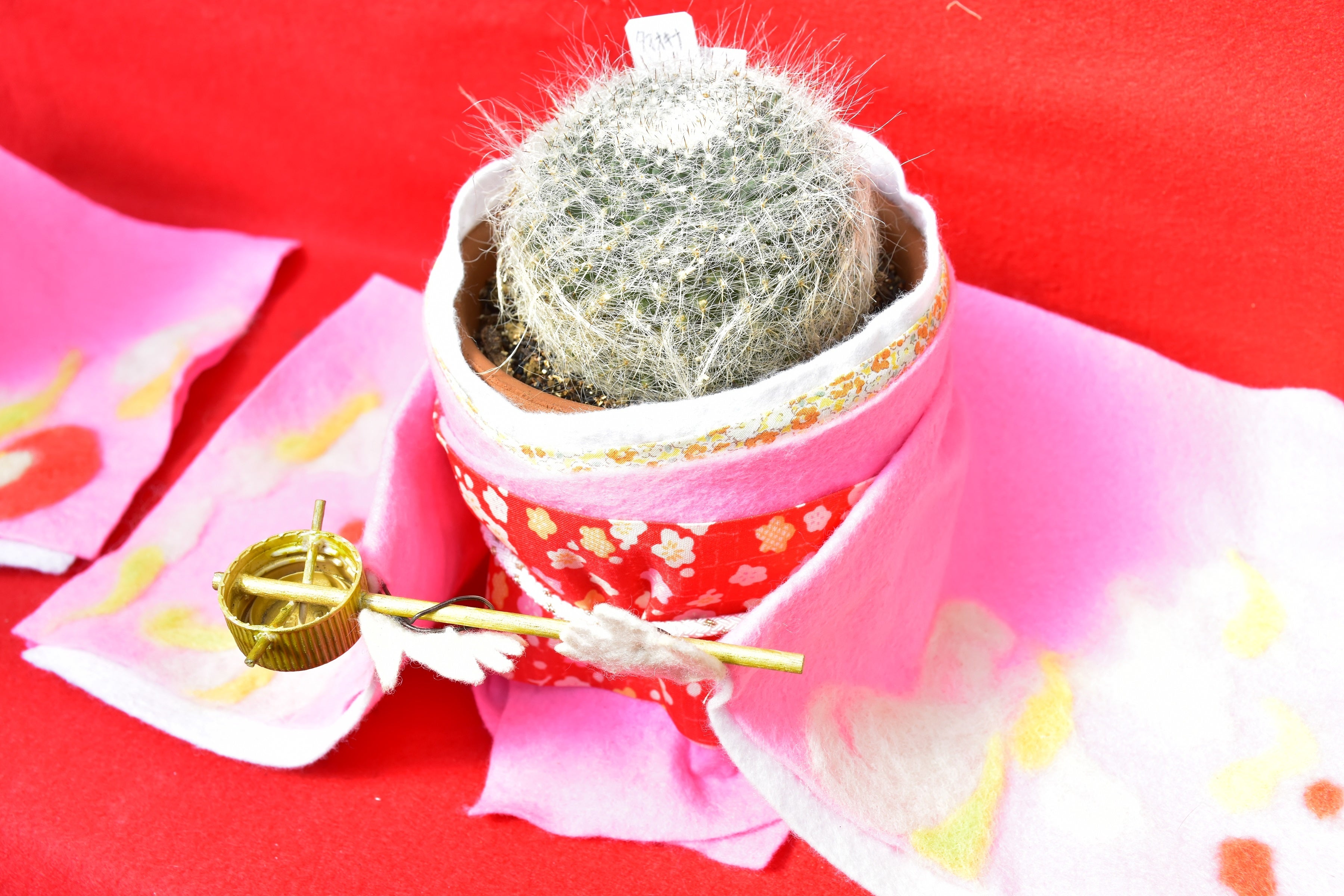 三人官女には花冠のような花が咲く