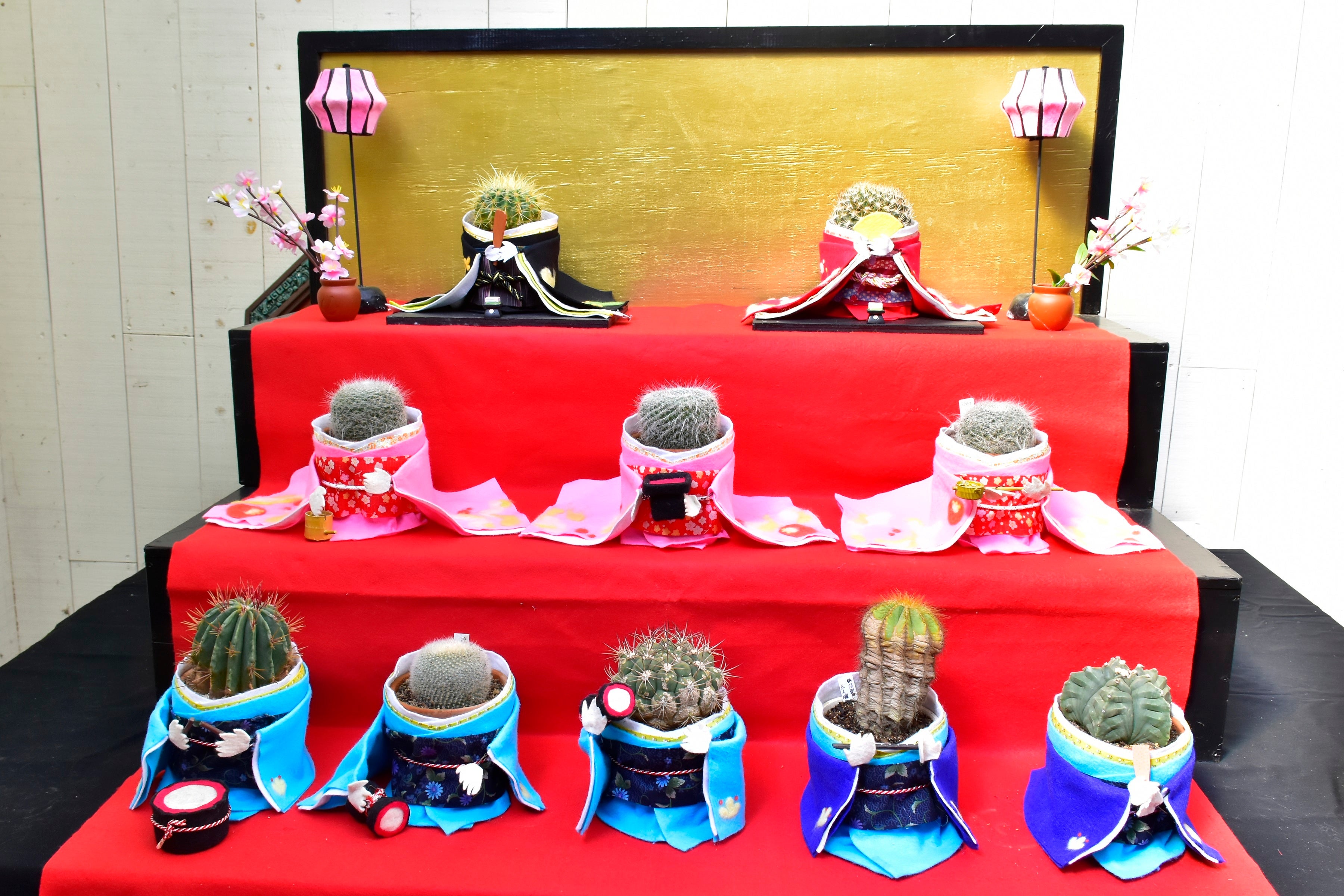 サボテンひな飾り