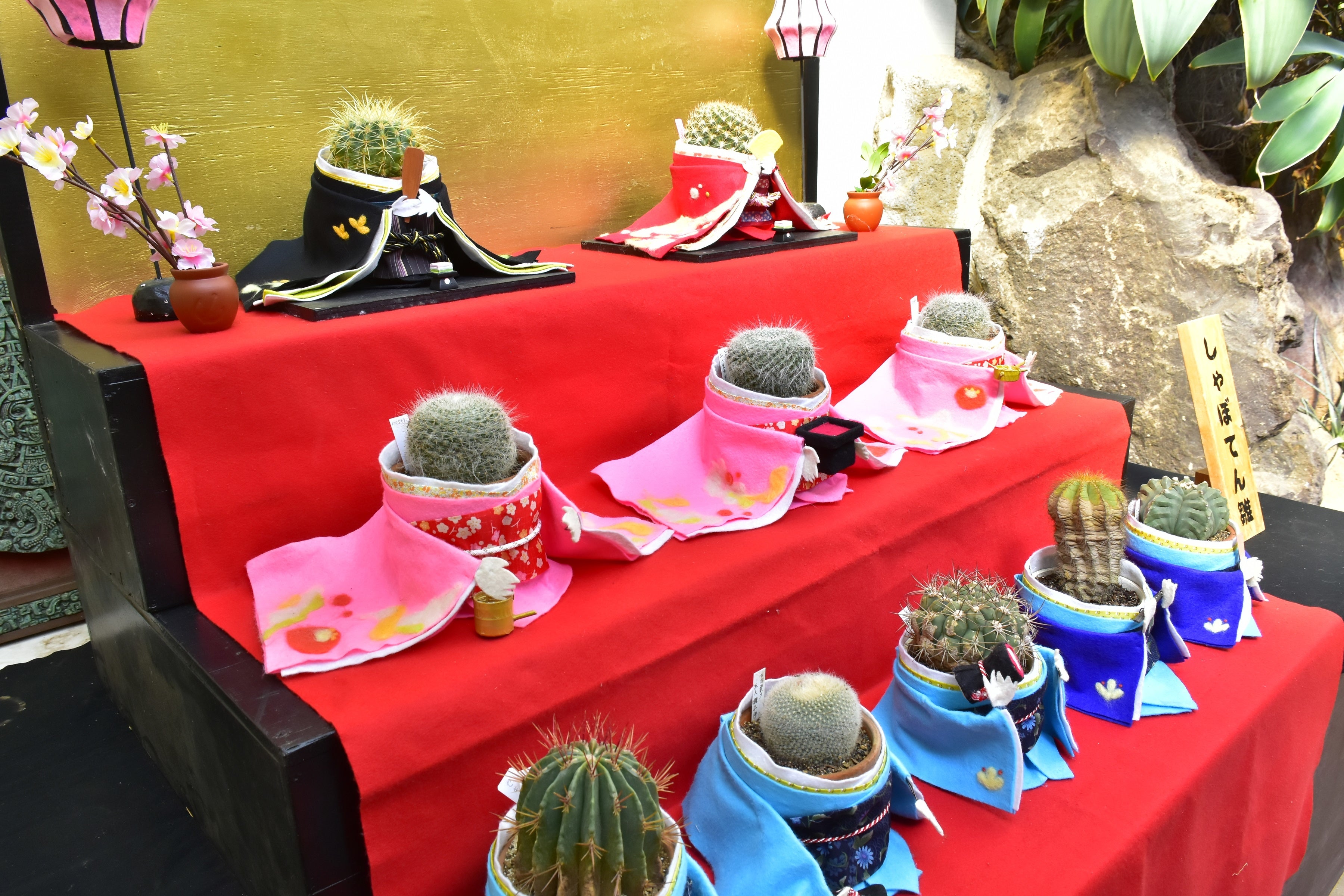 ひな祭りの装束が意外と似合う