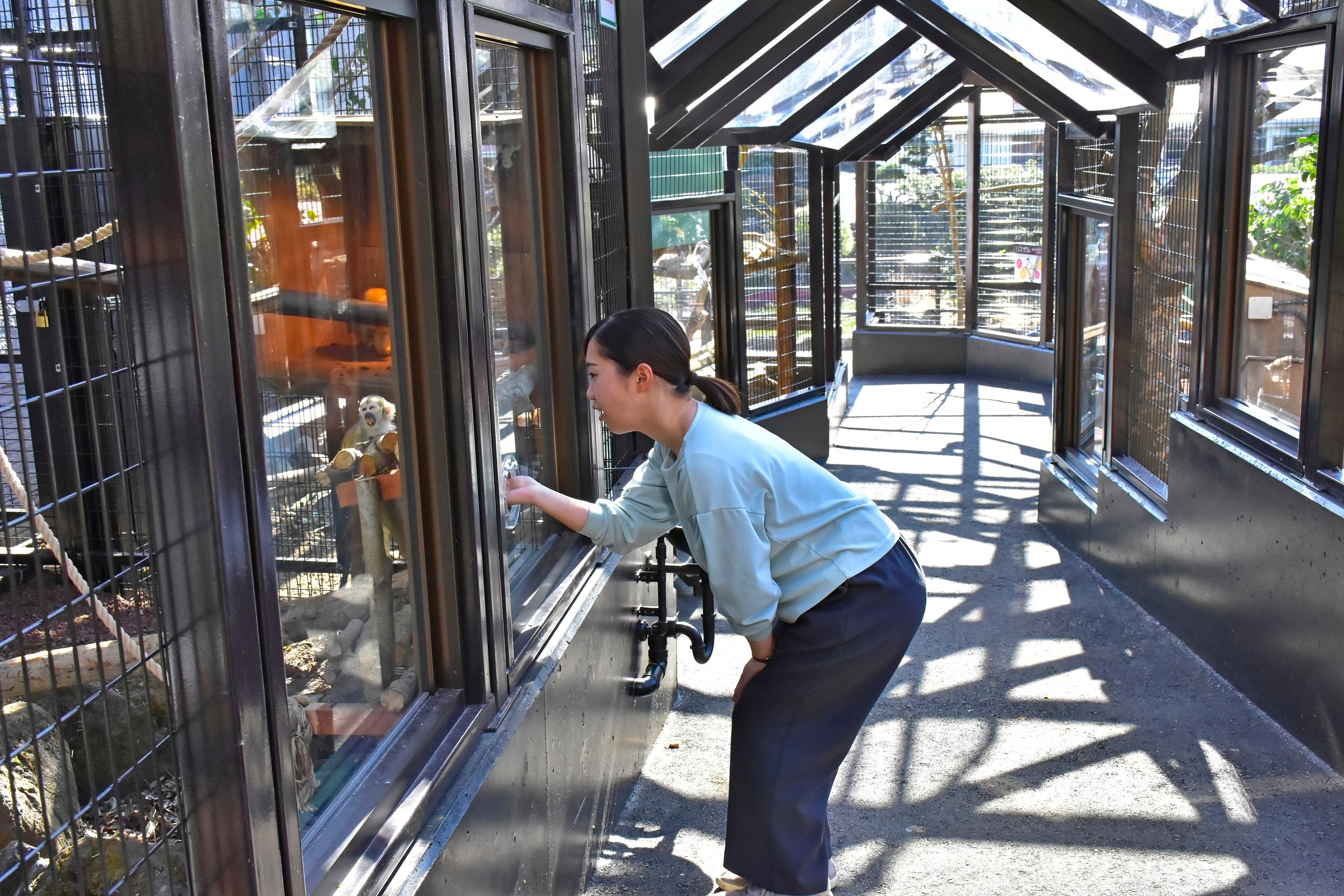 リスザルトンネル