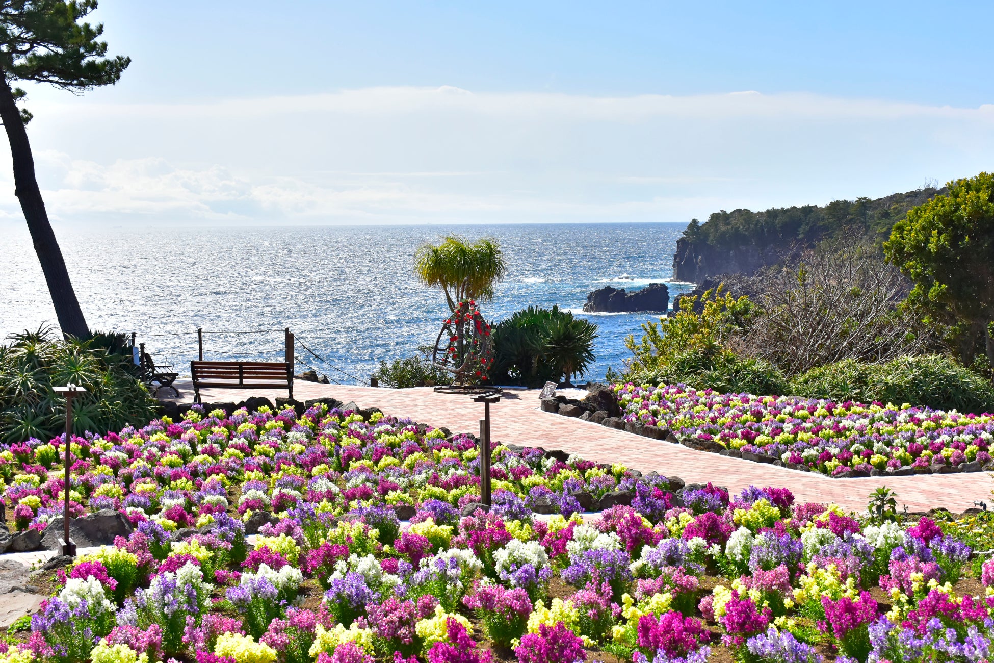 伊豆 城ヶ崎海岸の絶景ミュージアムにフラワーシーズンが到来 株式会社伊豆シャボテン公園のプレスリリース 伊豆 城ヶ崎海岸の絶景ミュージアムにフラワーシーズンが到来 株式会社伊豆シャボテン公園のプレスリリース