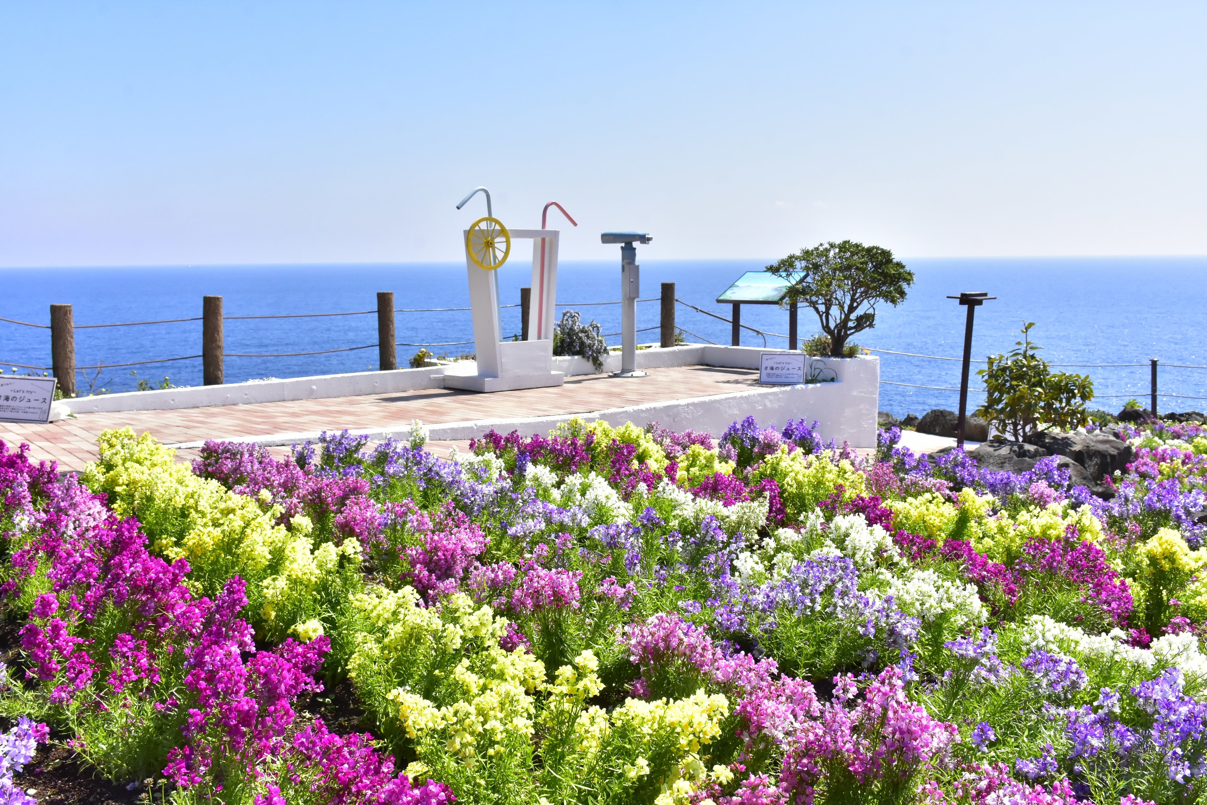 フラワーガーデン