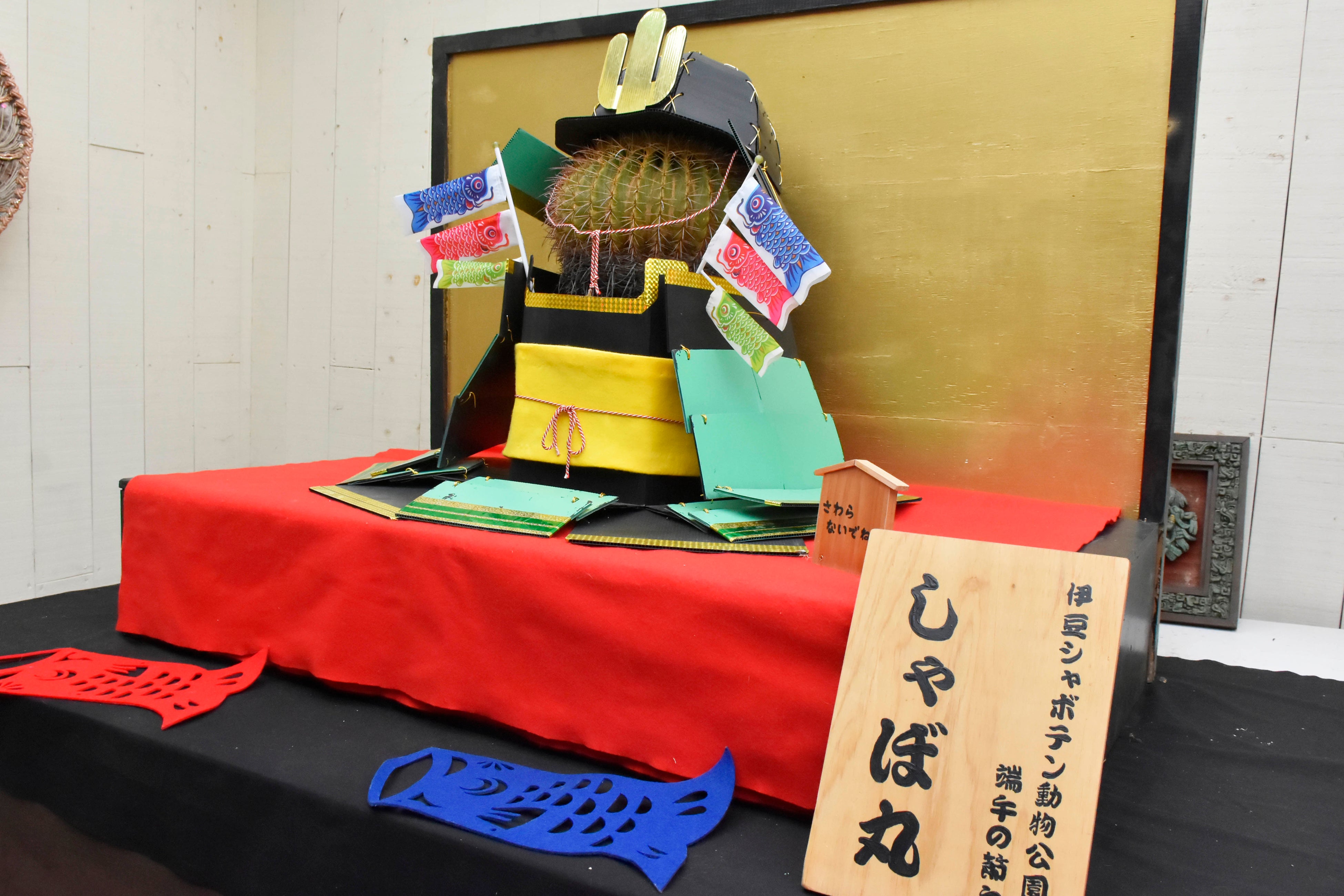 伊豆シャボテン動物公園ならではの端午の節句