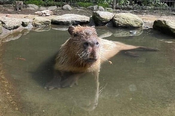 長崎バイオパーク「コナ」