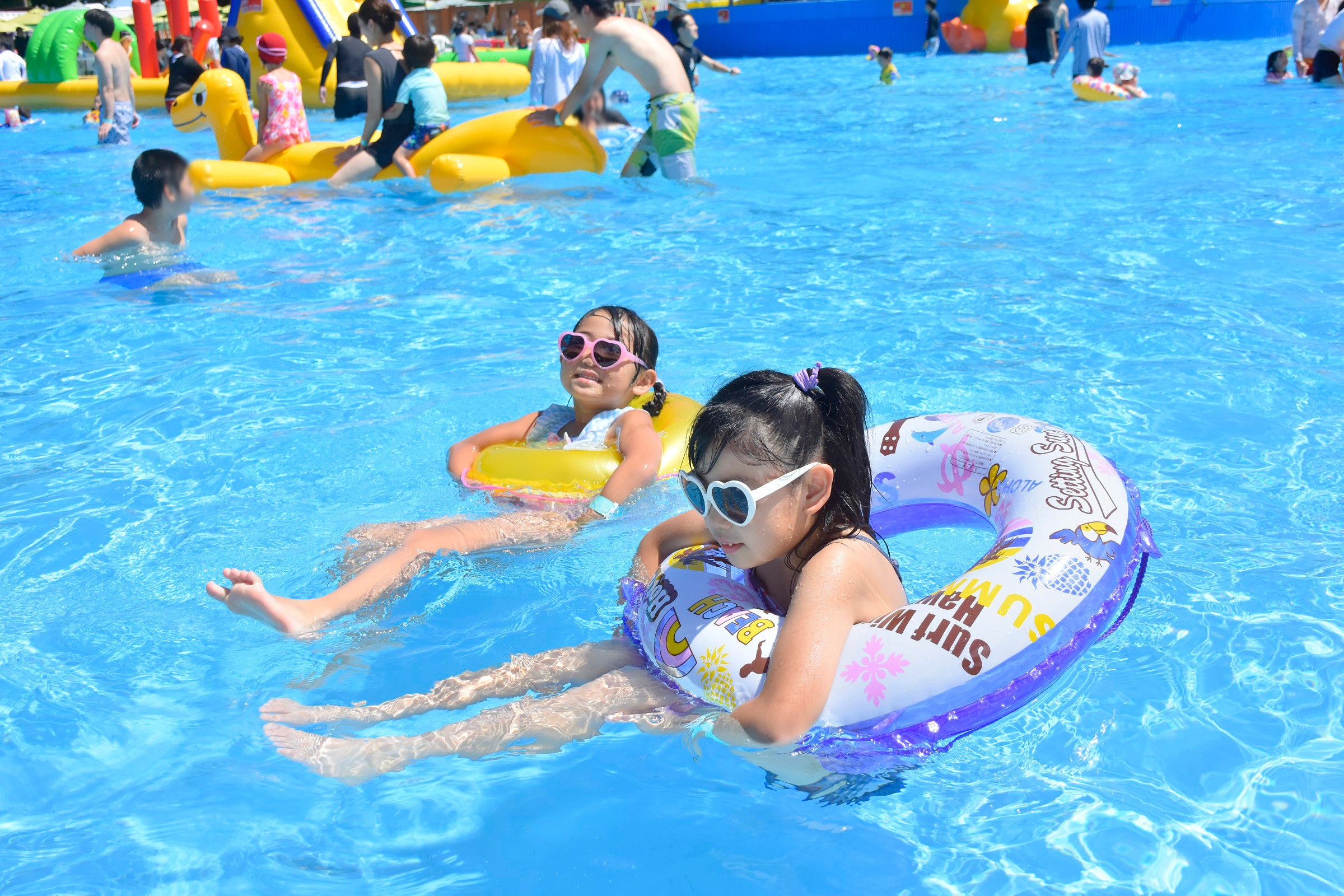 ぷるぷるで夏を満喫