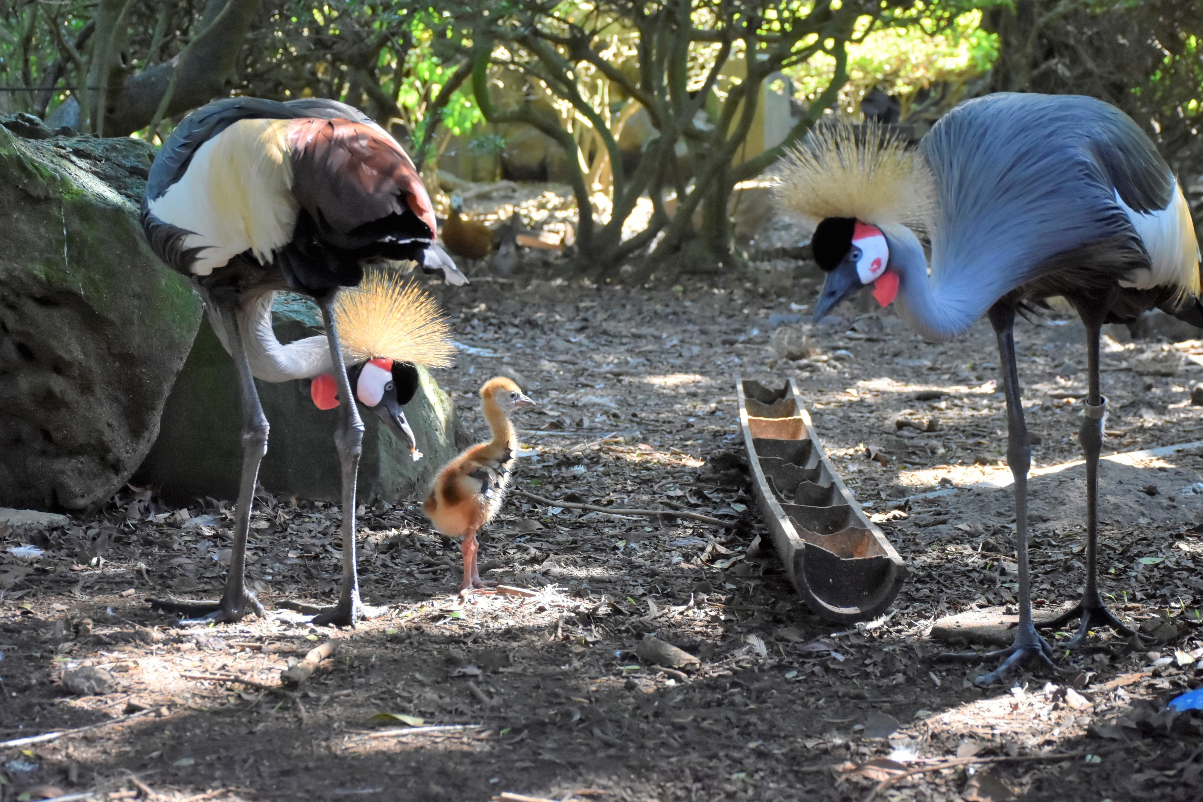 両親にしっかりと守られている