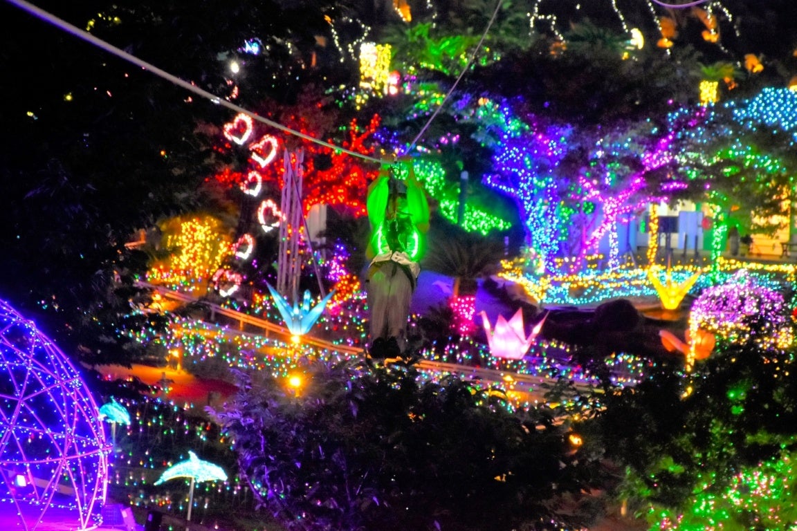 ジップライン~流星RYUSEI~