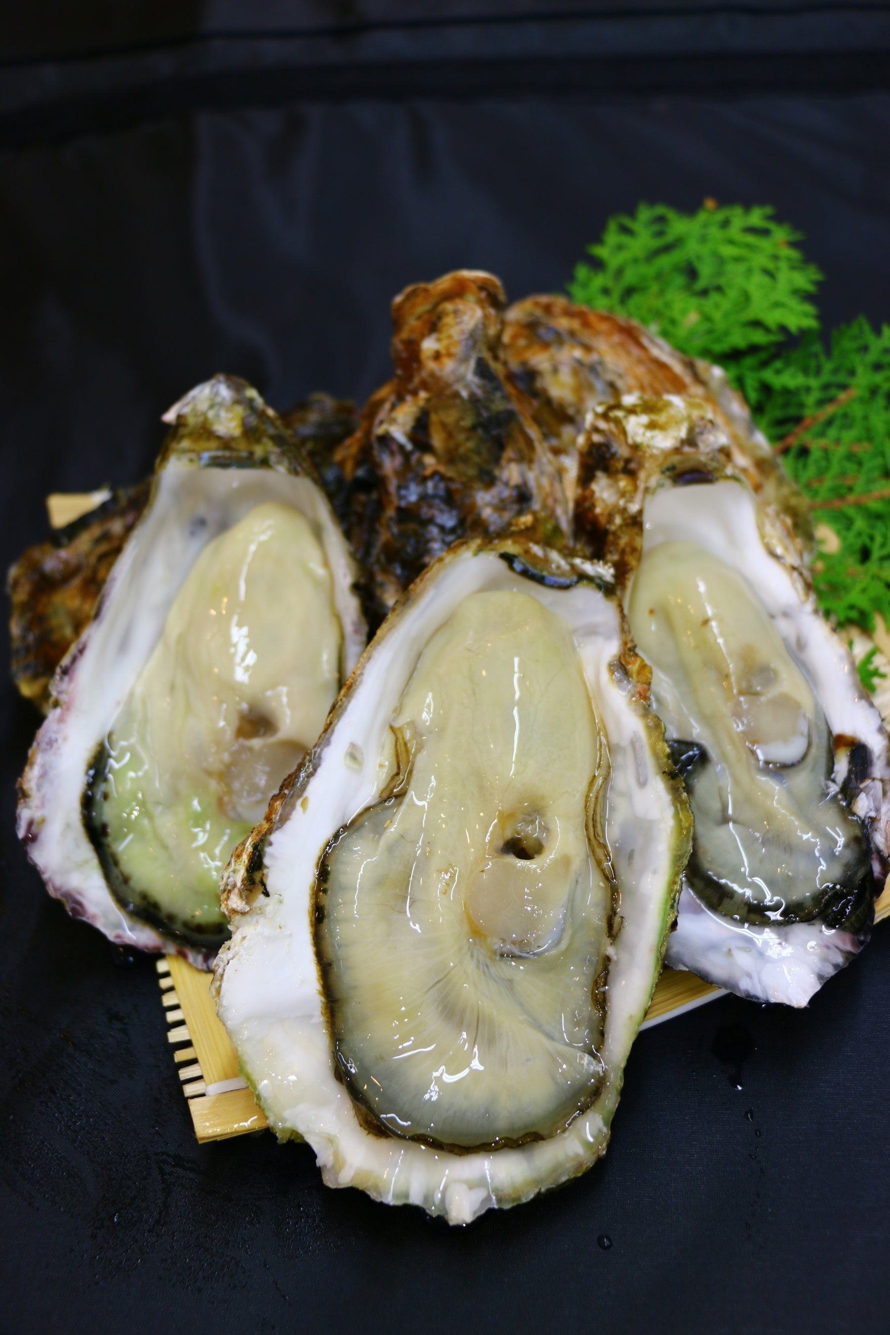 広島県江田島産大粒の牡蠣