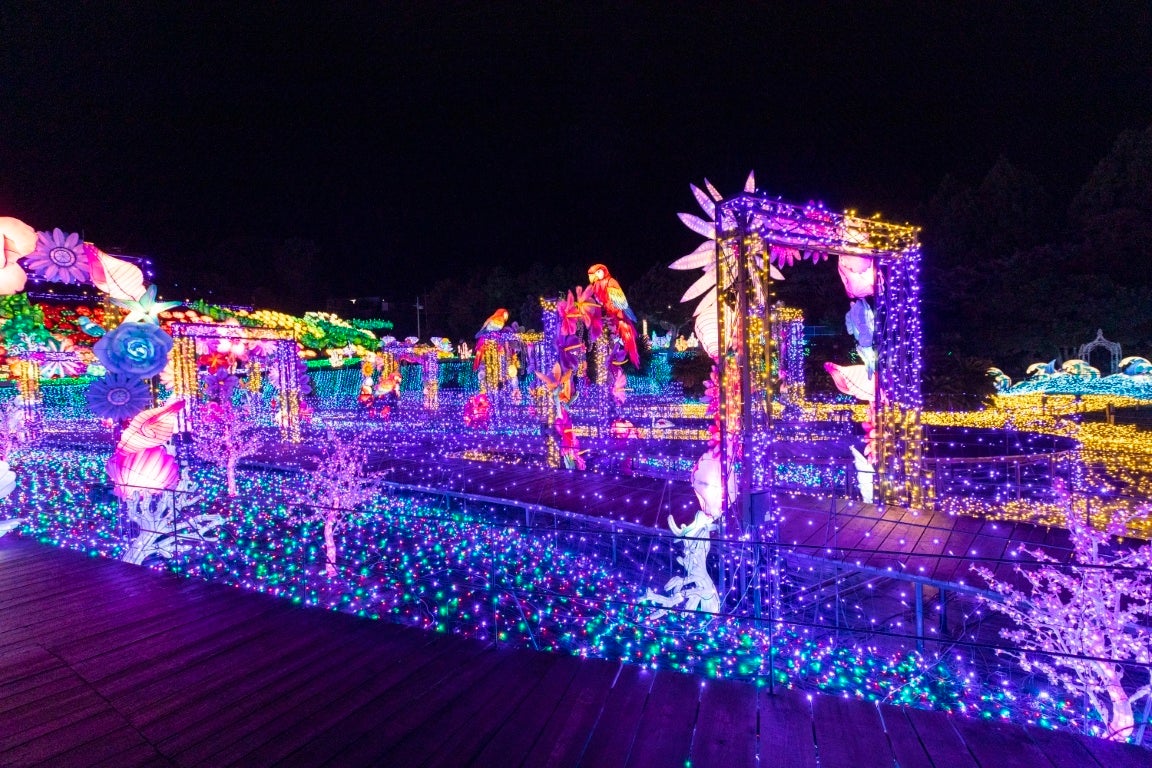 1)　夜のイルミネーション 令和4年度「くらしき きらめきのみち」イルミネーション