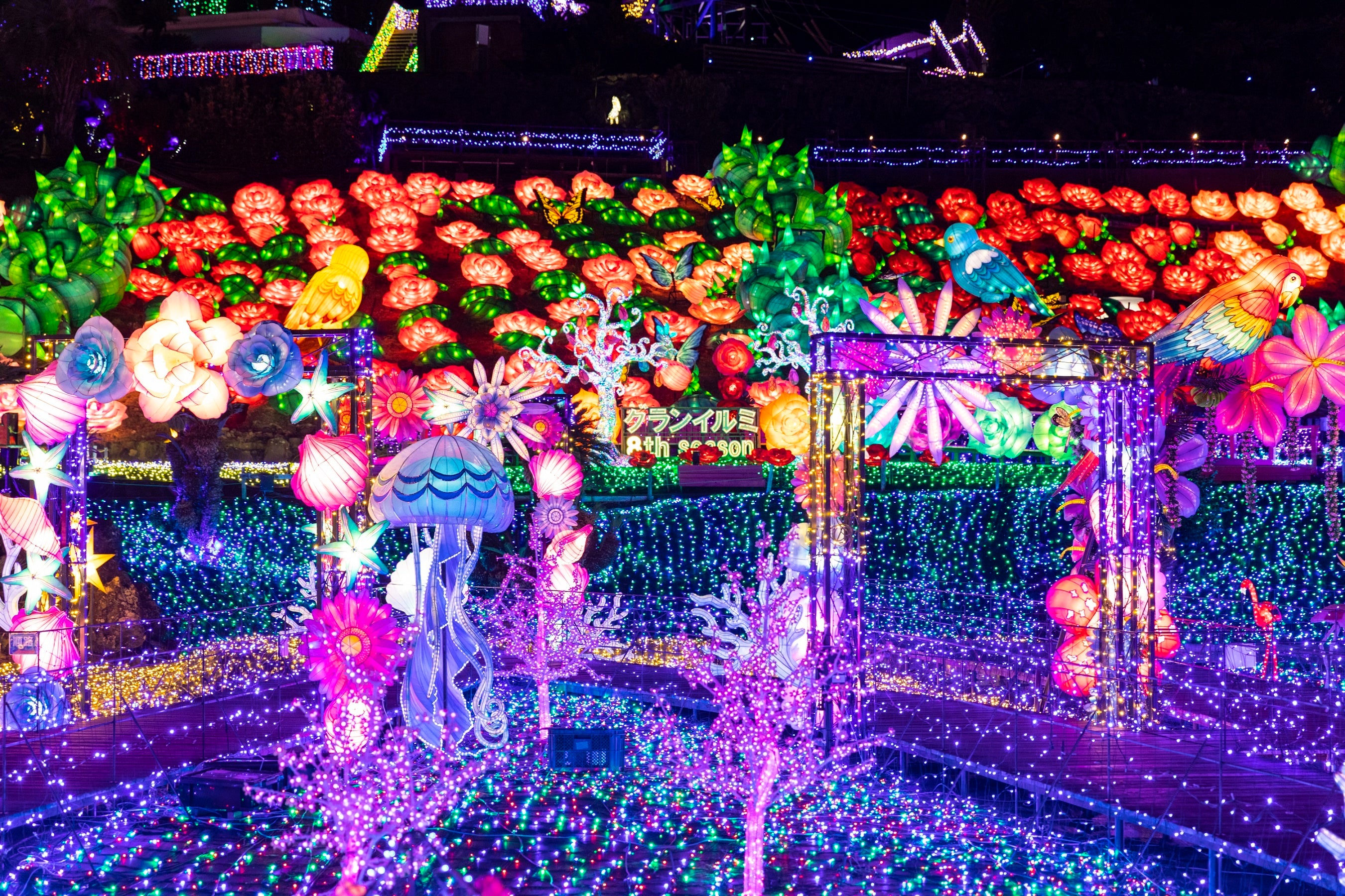 カラフルなランタンに目を奪われる