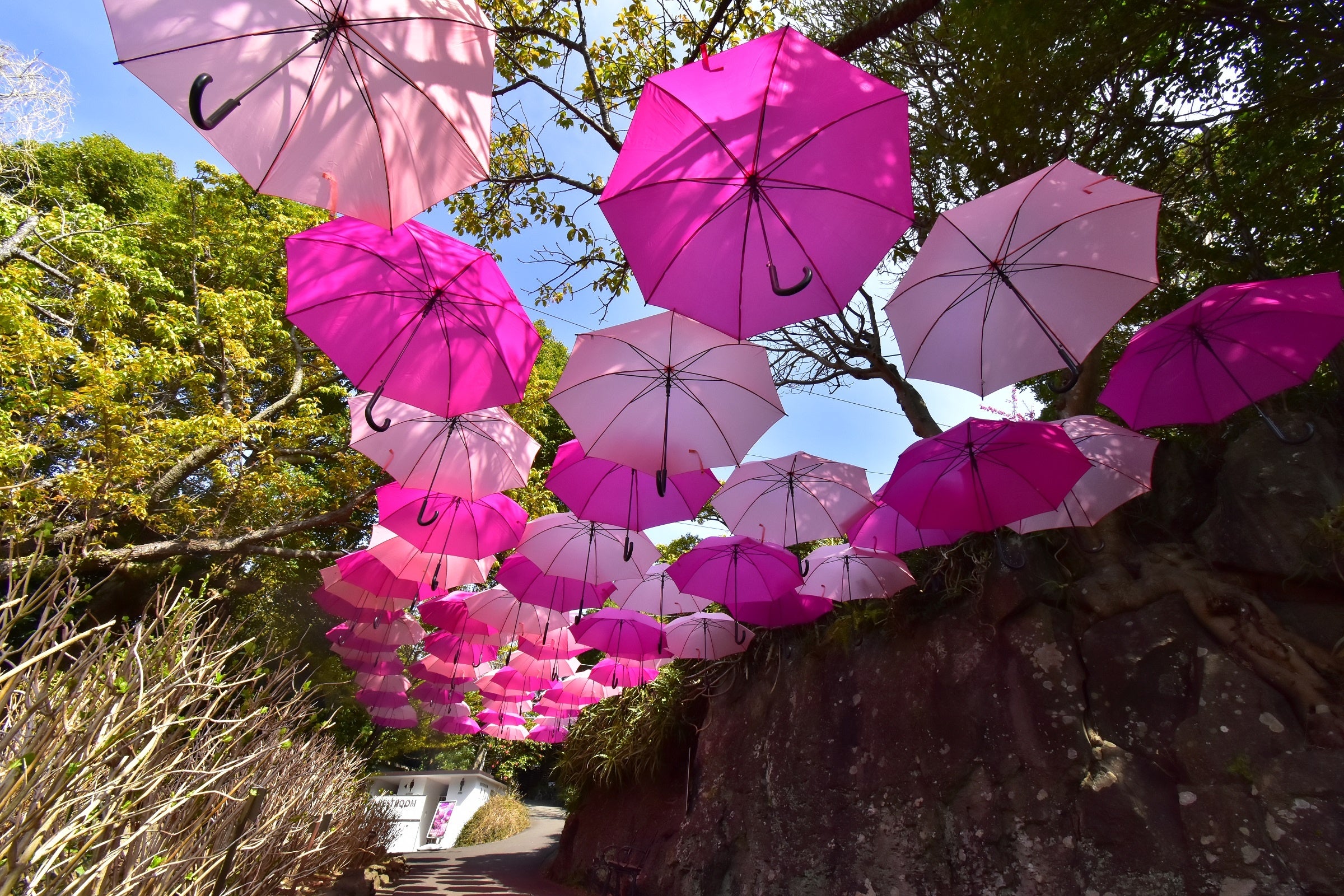 春色のアンブレラスカイ