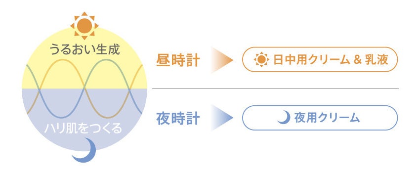 朝はうるおい生成。夜はハリ肌づくり