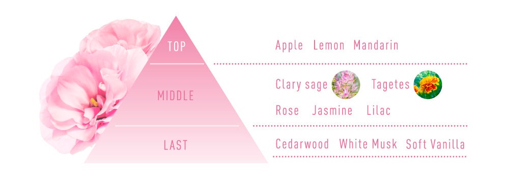 フローラル・フルーティの香調