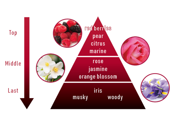 CPコスメティクスより、エイジングケア*¹美容液『トータルワークス R