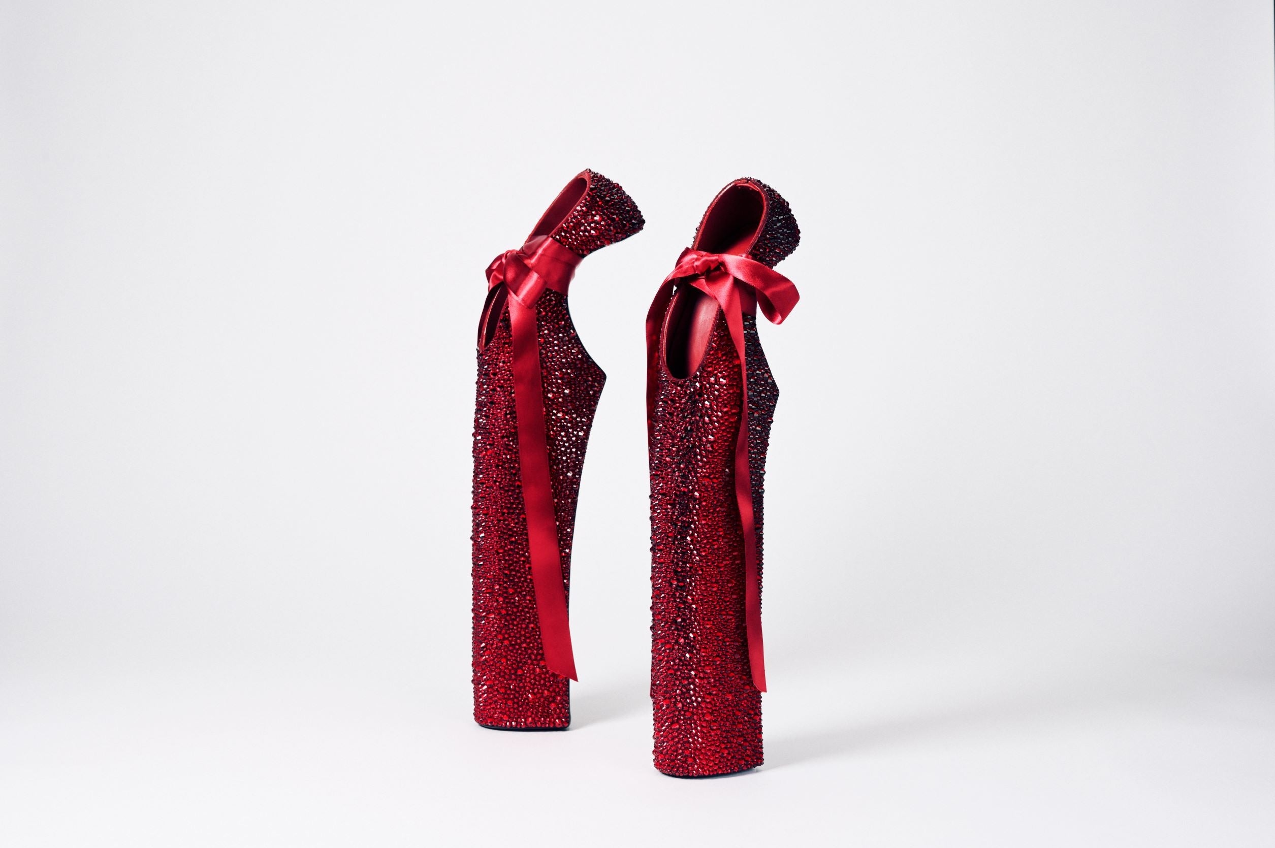 舘鼻則孝《Heel-less Shoes(Lady Pointe)》2014年、個人蔵、GION撮影