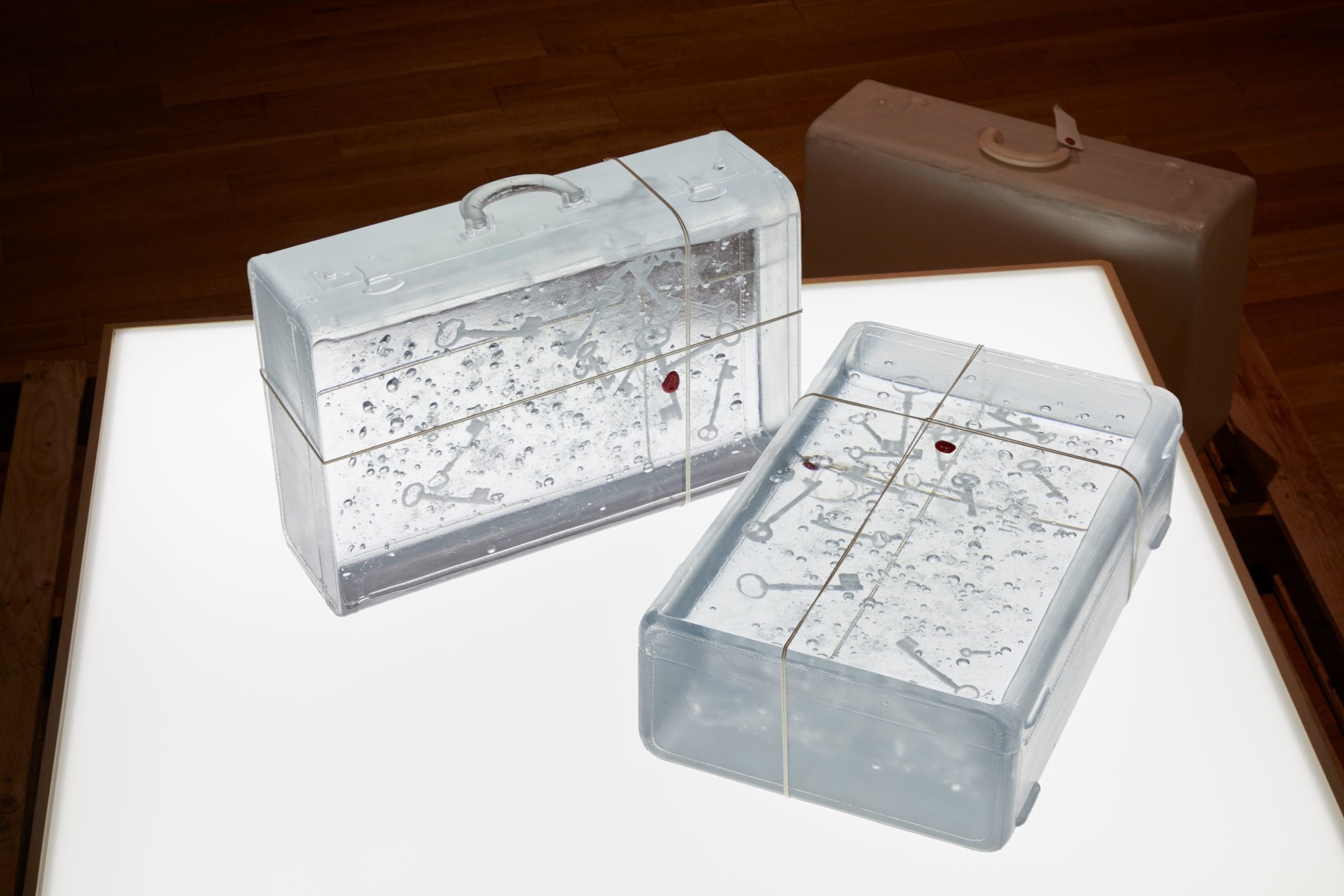 宮永愛子《suitcase -key-》2019年 ナフタリン、樹脂、封蝋、ミクストメディア　高松市美術館「宮永愛子：漕法」展示風景　撮影：木奥恵三 ©️MIYANAGA Aiko, Courtesy of Mizuma Art Gallery