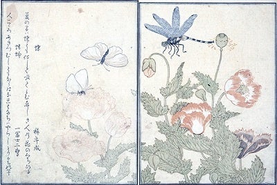 『画本　虫撰　上・下巻』 喜多川歌麿／画　1787（天明7）年　東京都江戸東京博物館蔵