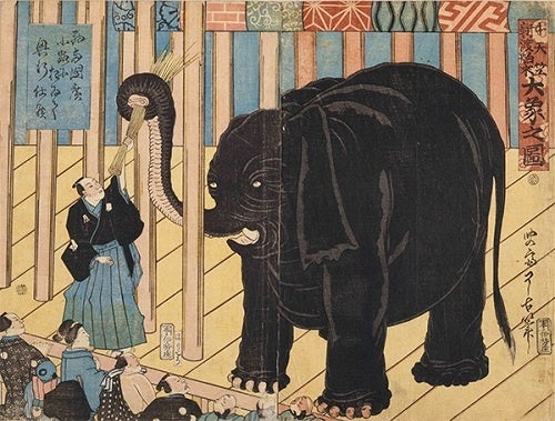 中天竺新渡舶来大象之図　了古画　1863(文久3)年　東京都江戸東京博物館蔵