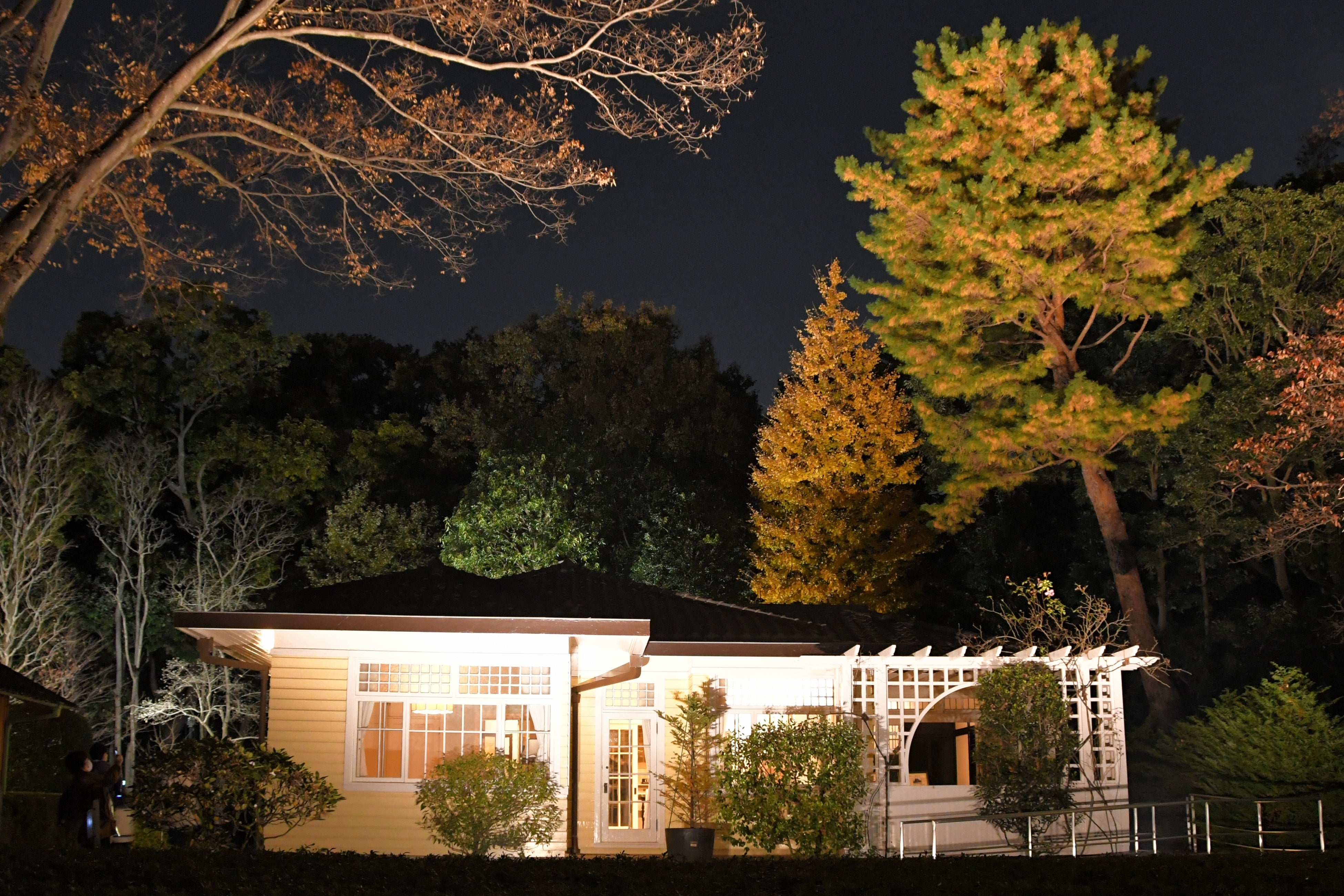 田園調布の家（大川邸）