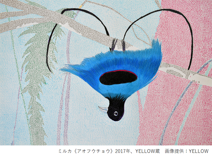 ミルカ《アオフウチョウ》2017年、YELLOW蔵　画像提供：YELLOW