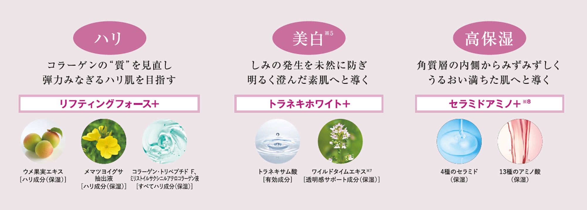 【新品未使用】ブライトエイジ 本格エイジングケア豪華5点セット 今だけ限定！！ 新品未使用】ブライトエイジ 本格エイジングケア豪華5点セット