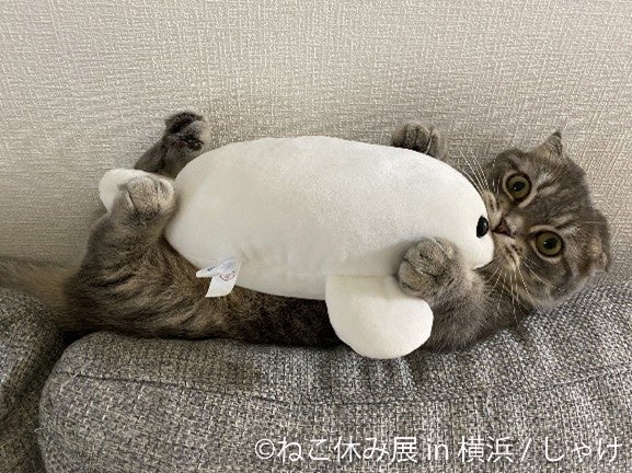 人気猫クリエイター作品が大集結♪ 累計200万人が癒された猫の祭典