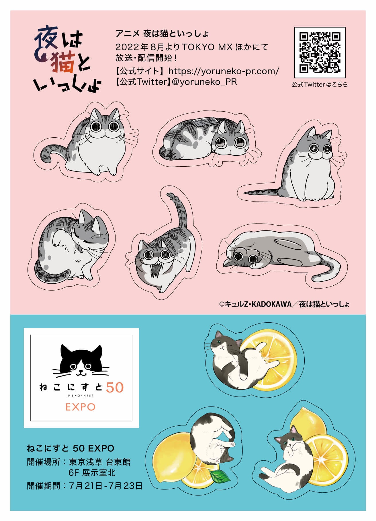 ねこさま専用 公式写真 7919e468a41a61c875578297f9697a