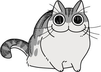 ©キュルZ・KADOKAWA/夜は猫といっしょ