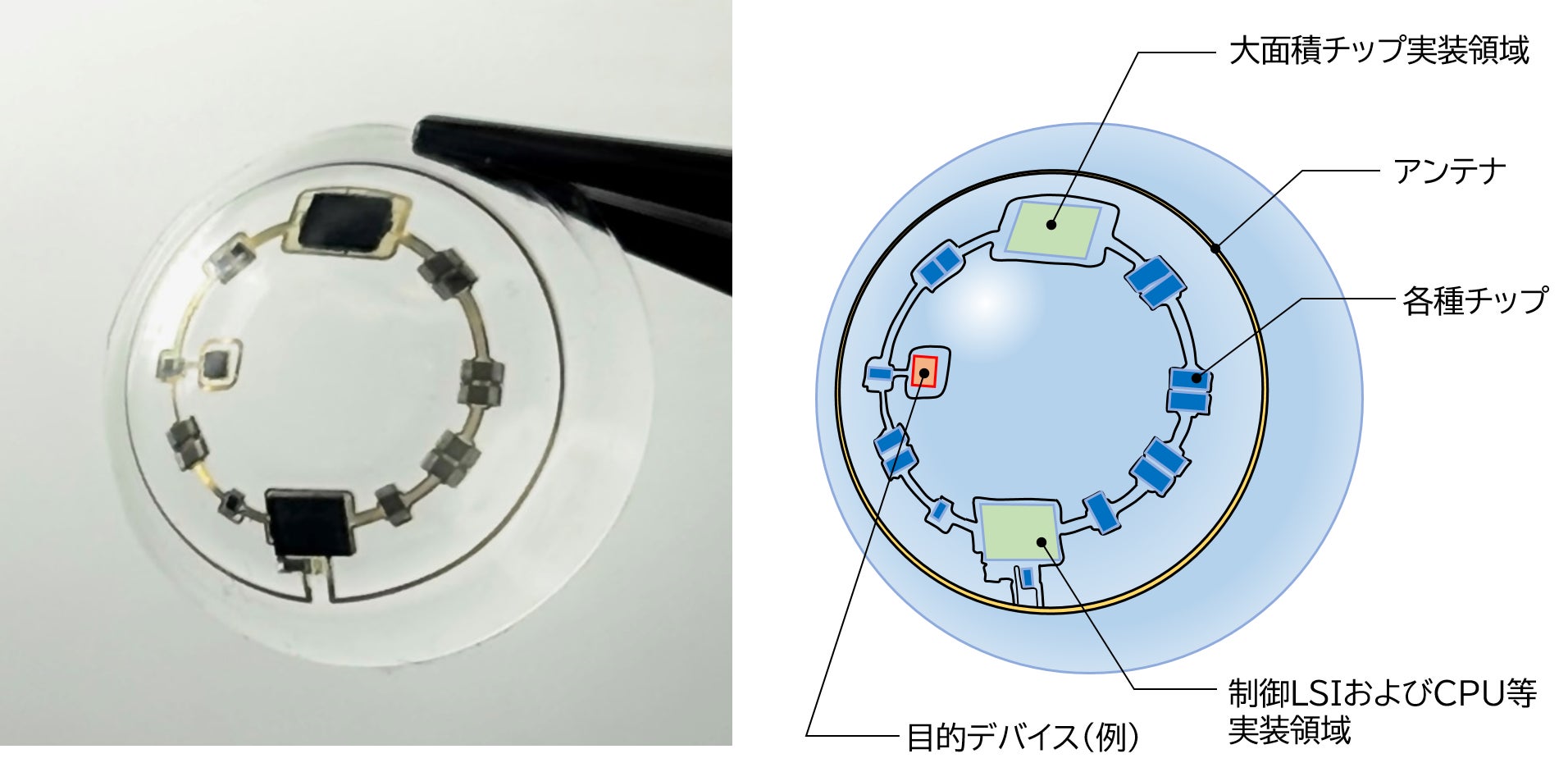 コンタクトレンズへの電子部品等実装技術の標準化および、大規模集積回路開発に成功