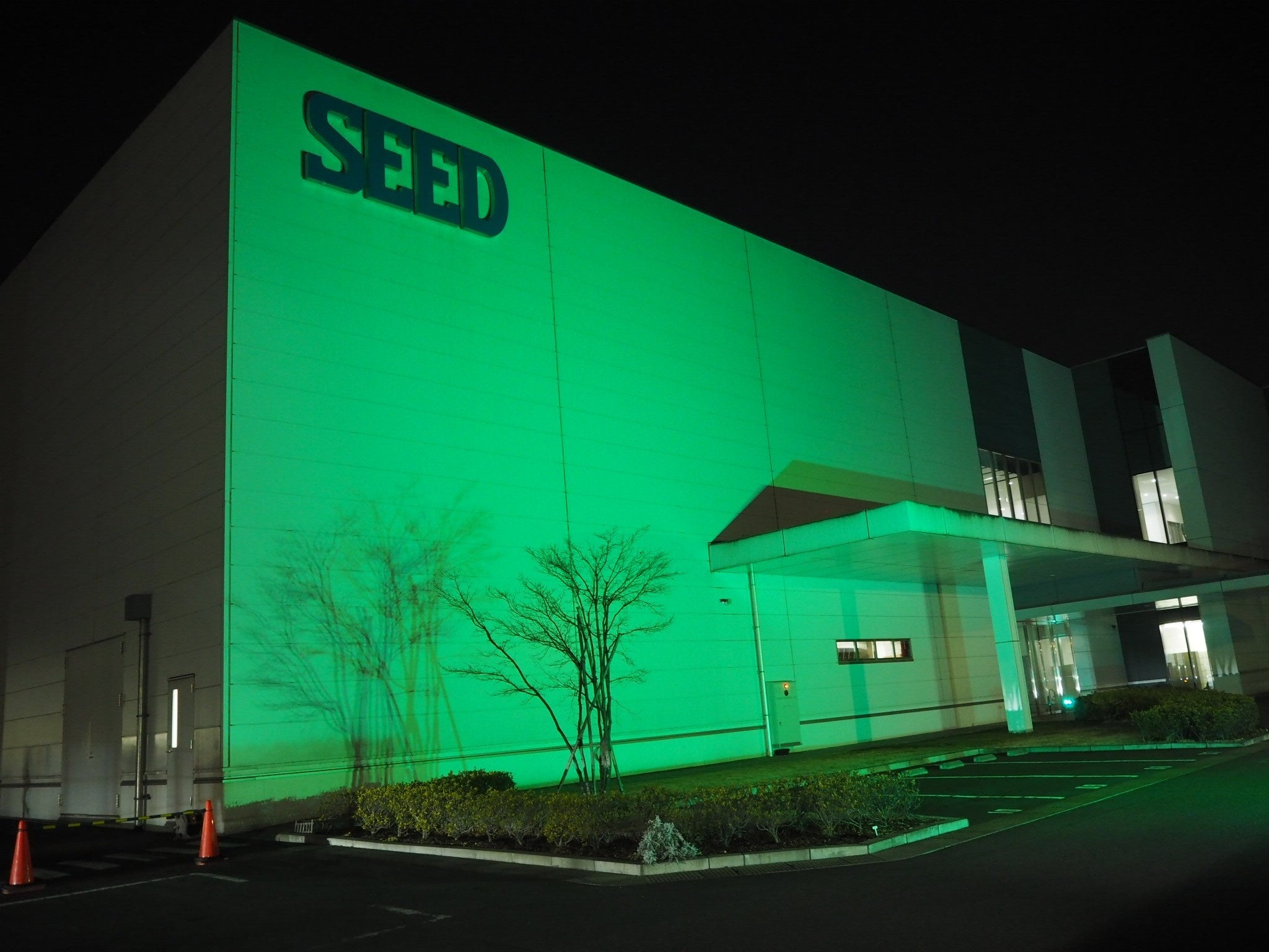 昨年のライトアップの様子：シード鴻巣研究所　 2号棟エントランス前　