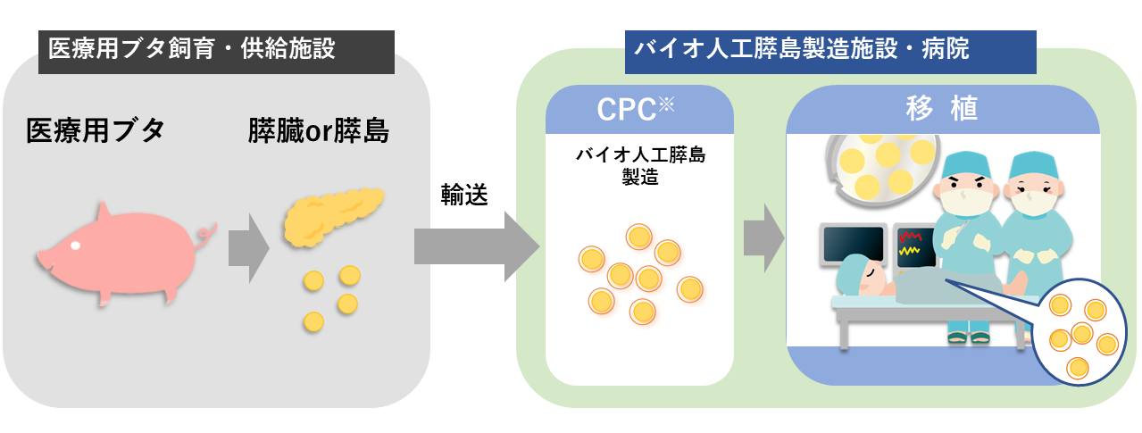 糖尿病最新の治療2025−2027 糖尿病最新の治療2025-2027 | 綿⽥裕孝, ⼭内敏正 |本 | 通販