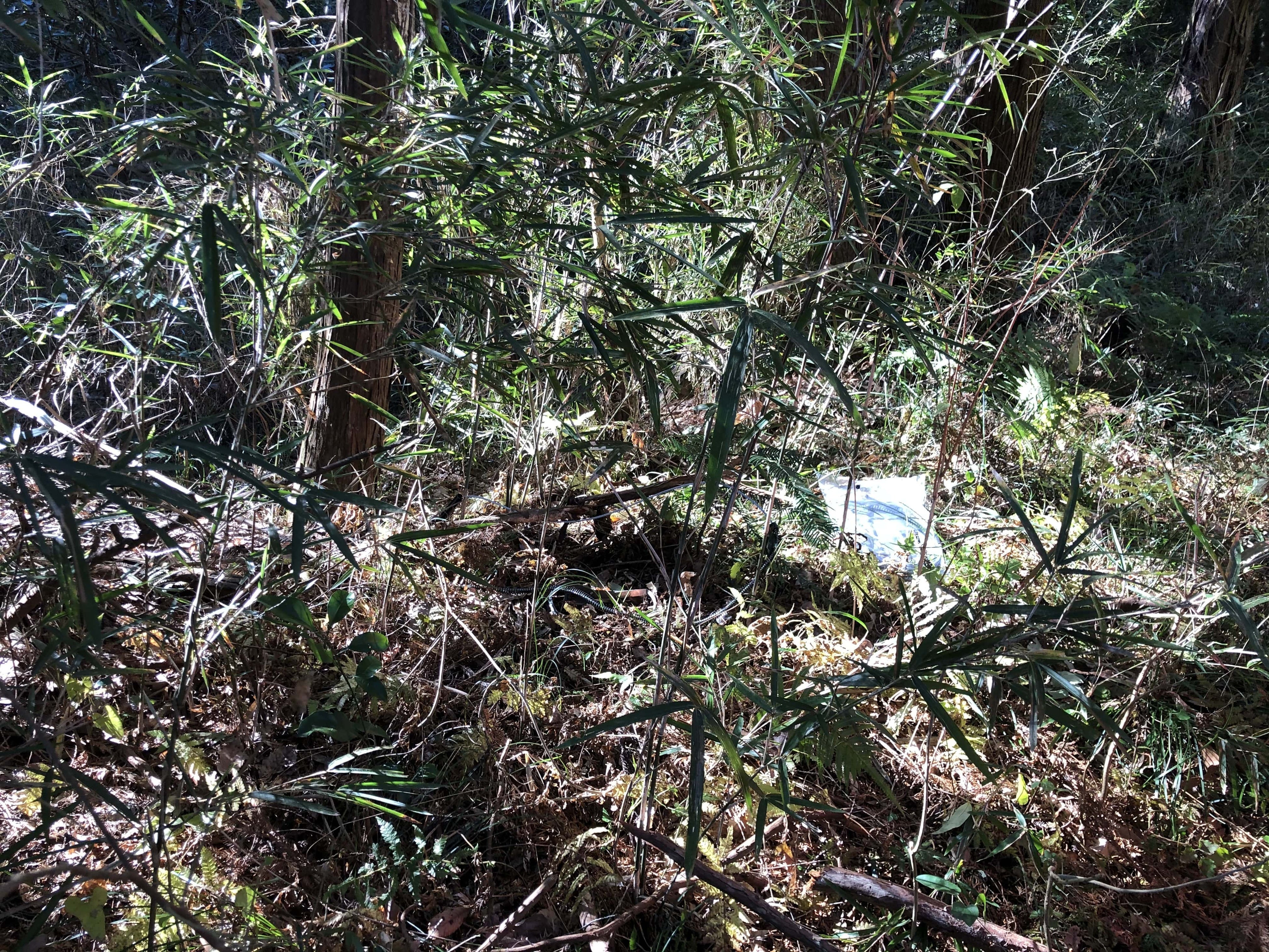 着陸地点（ホイスト地点）