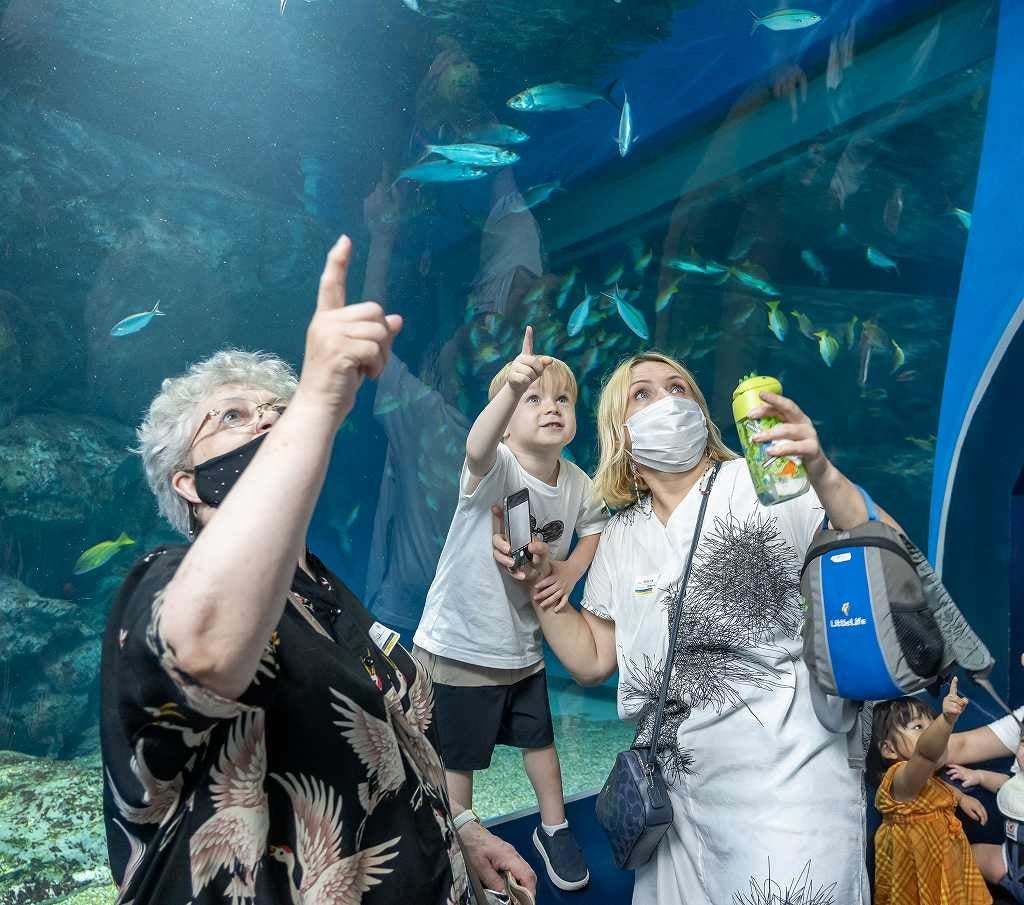 8月8日水族館での心のケア