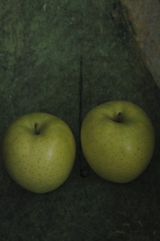 写真家・上田義彦の個展、麻布台ヒルズで開催!果物のポートレートから新作まで2024年3月22日から 写真家・上田義彦の個展、麻布台ヒルズで開催!果物のポートレートから新作まで2024年3月22日から