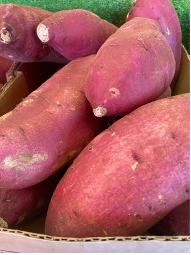 シルクスイート