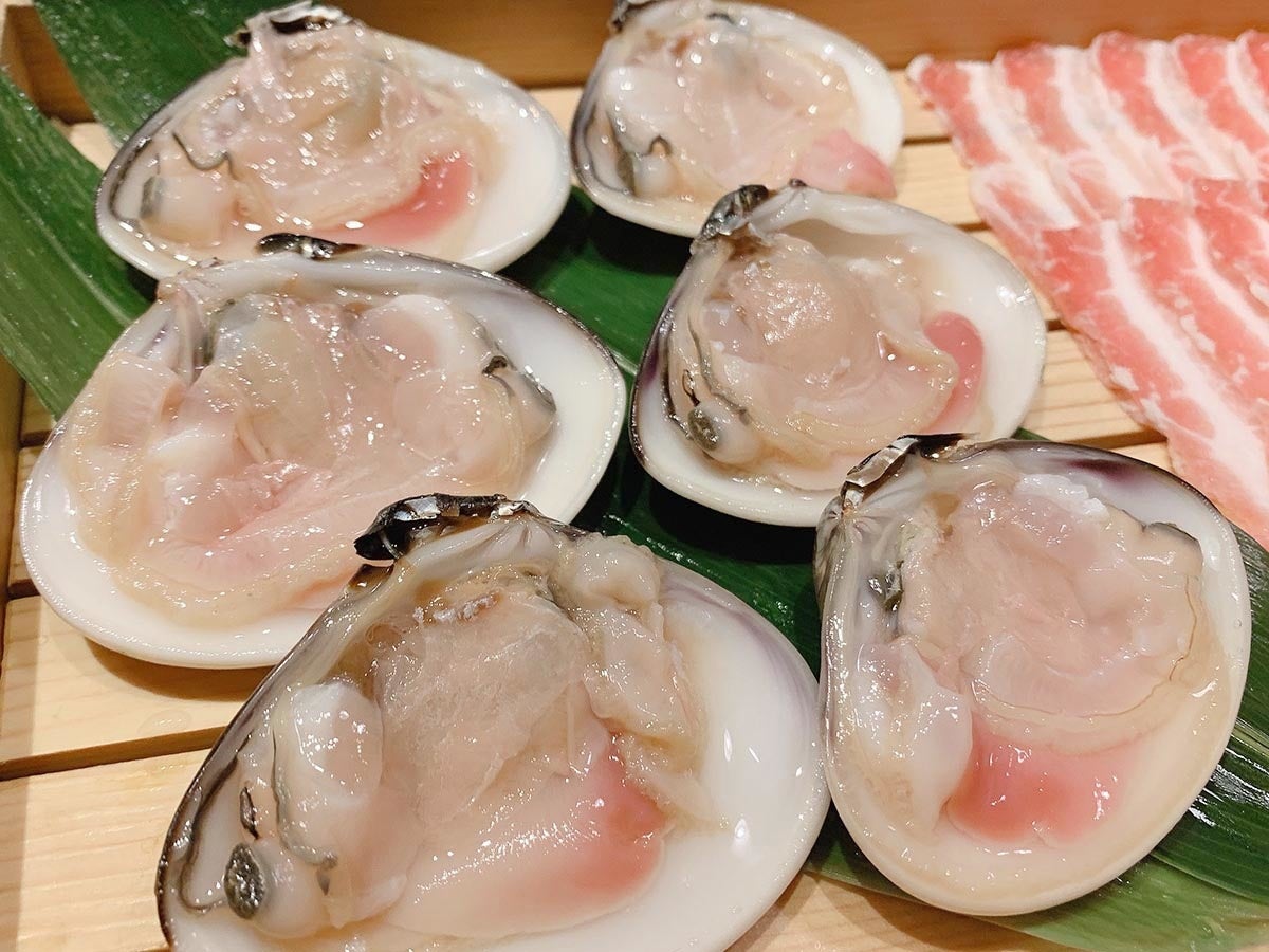 九十九里産の大粒なはまぐり