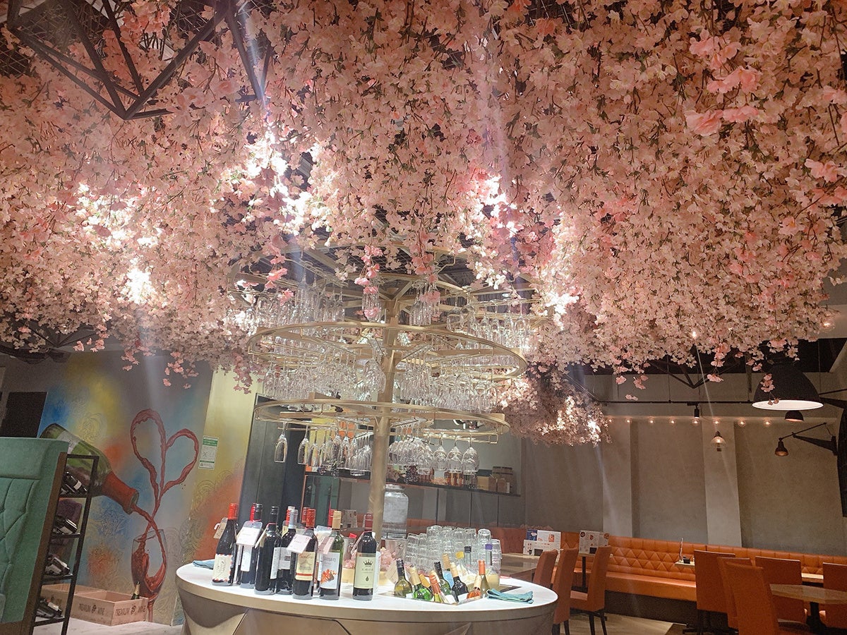 ESOLA新宿が「お花見仕様」に