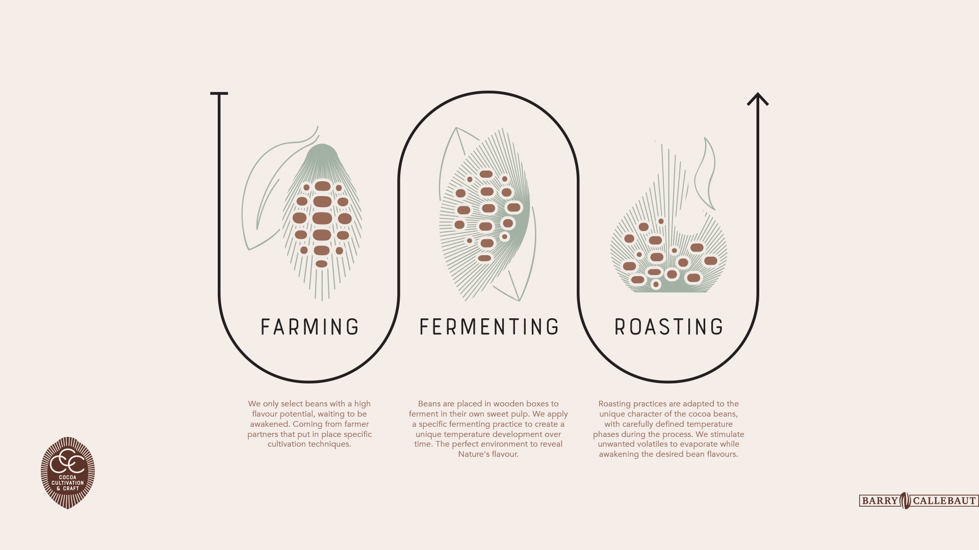 Cocoa Cultivation & Craft（CCC）製法