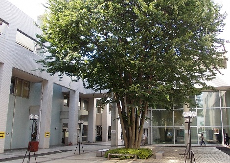 市民の記憶を紡ぐ展覧会と、DXによる”どこでも図書館”の進化