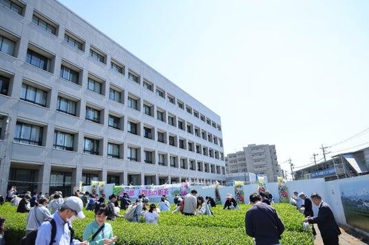 【埼玉県入間市】”狭山茶”新茶イベント振り返り特集 その2「八十八夜新茶まつり」 【埼玉県入間市】”狭山茶”新茶イベント振り返り特集 その2「八十八夜新茶まつり」