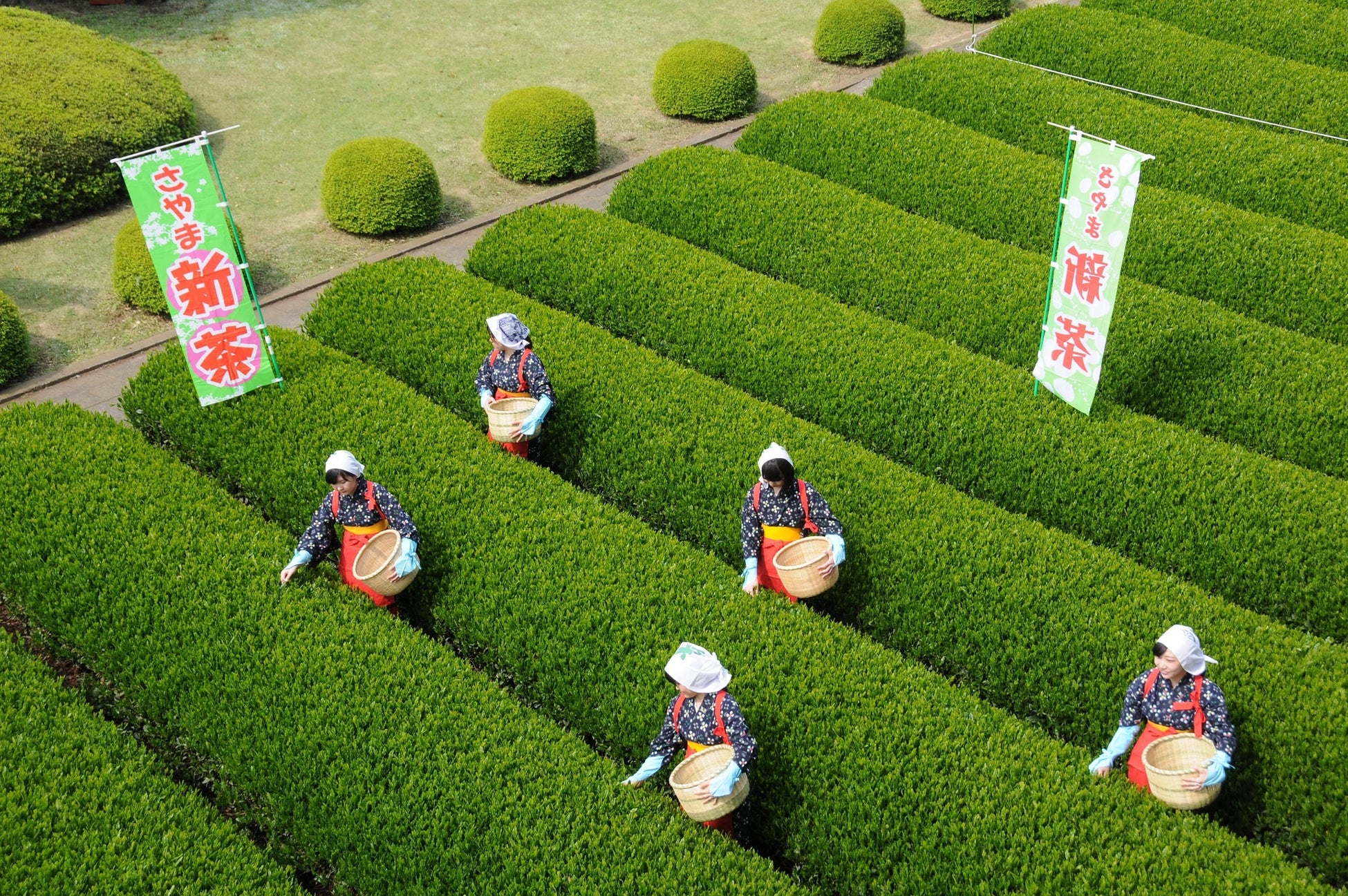 八十八夜新茶まつり