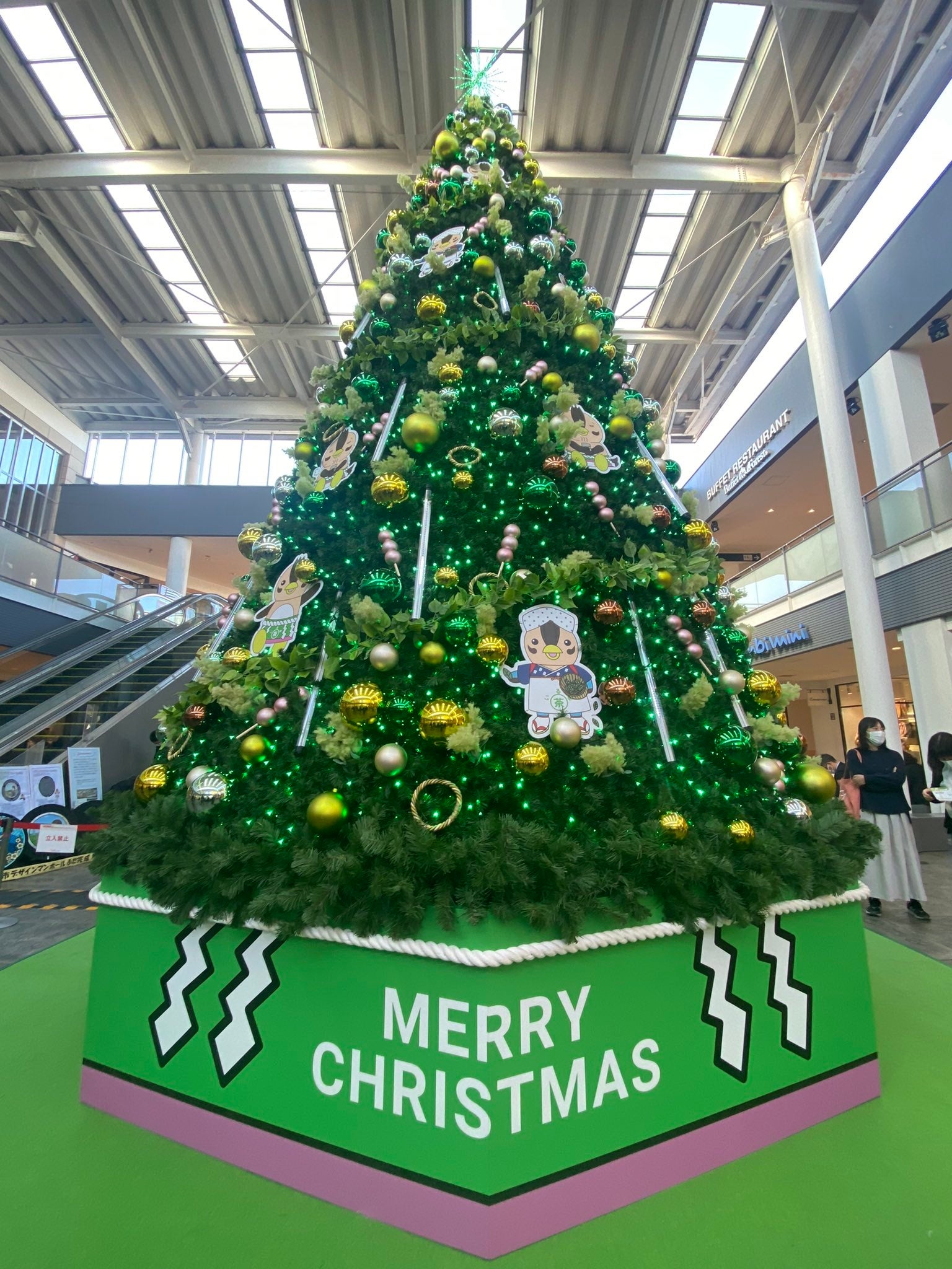 いるティーの「ティーツリー」