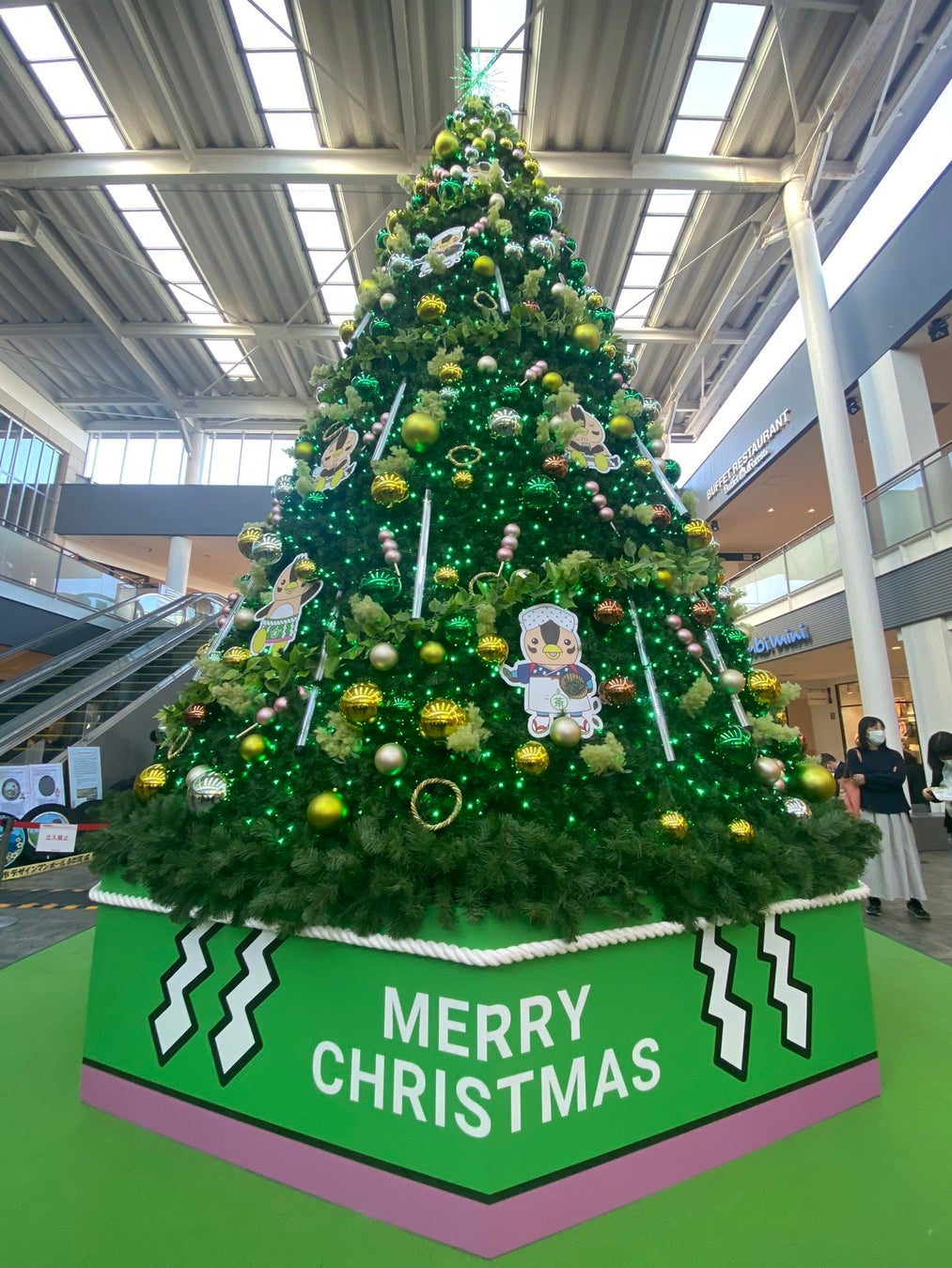 いるティーの「ティーツリー」