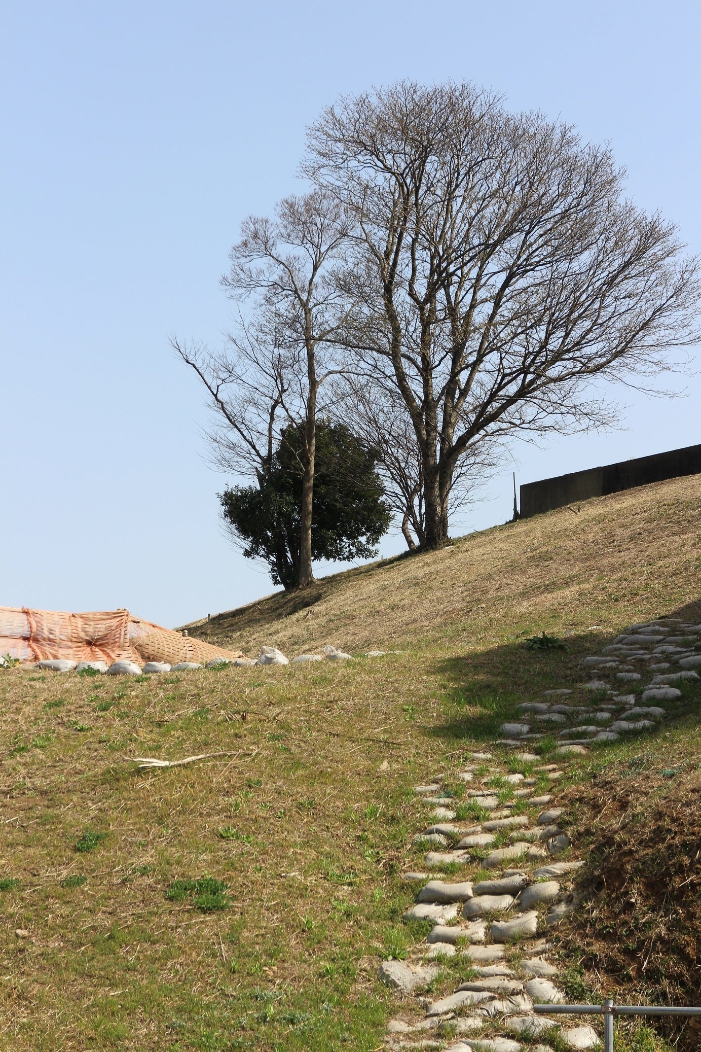 あの日見た風景がどのように描かれるのか（令和5年3月11日撮影）